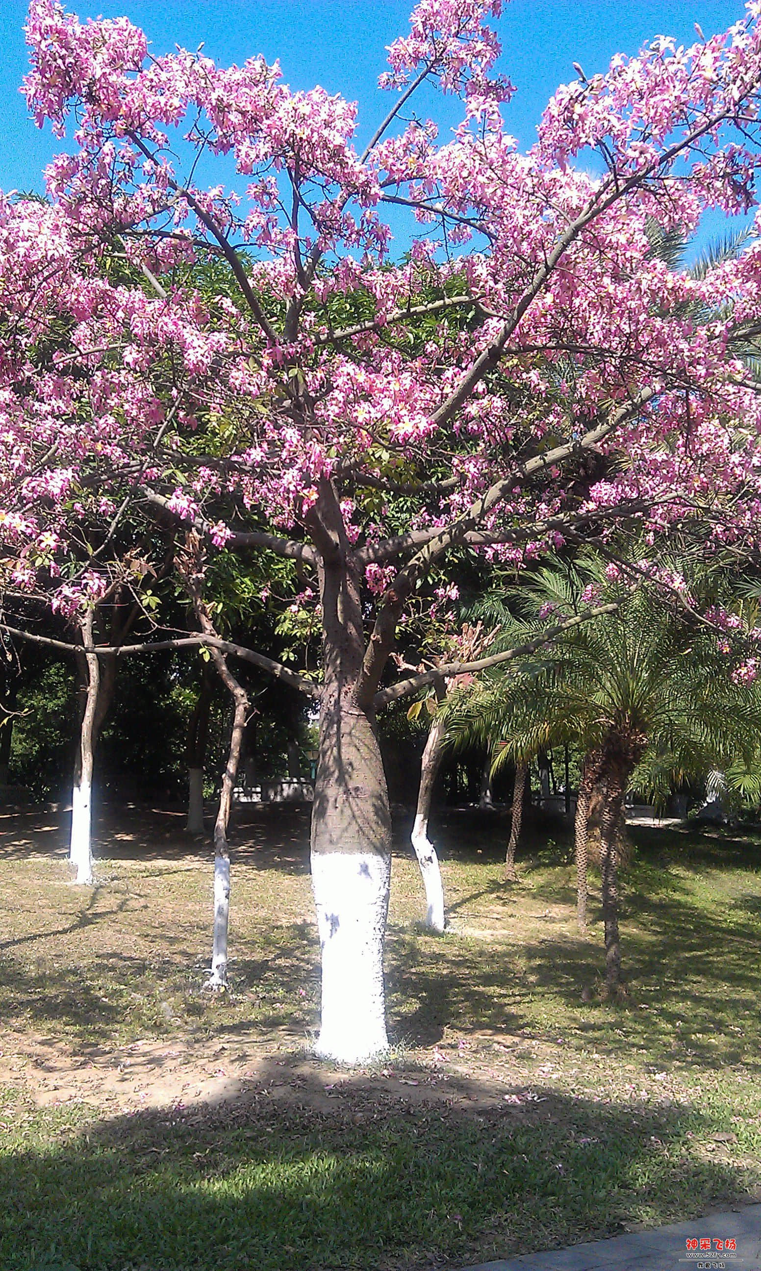 IMAG0018.jpg
