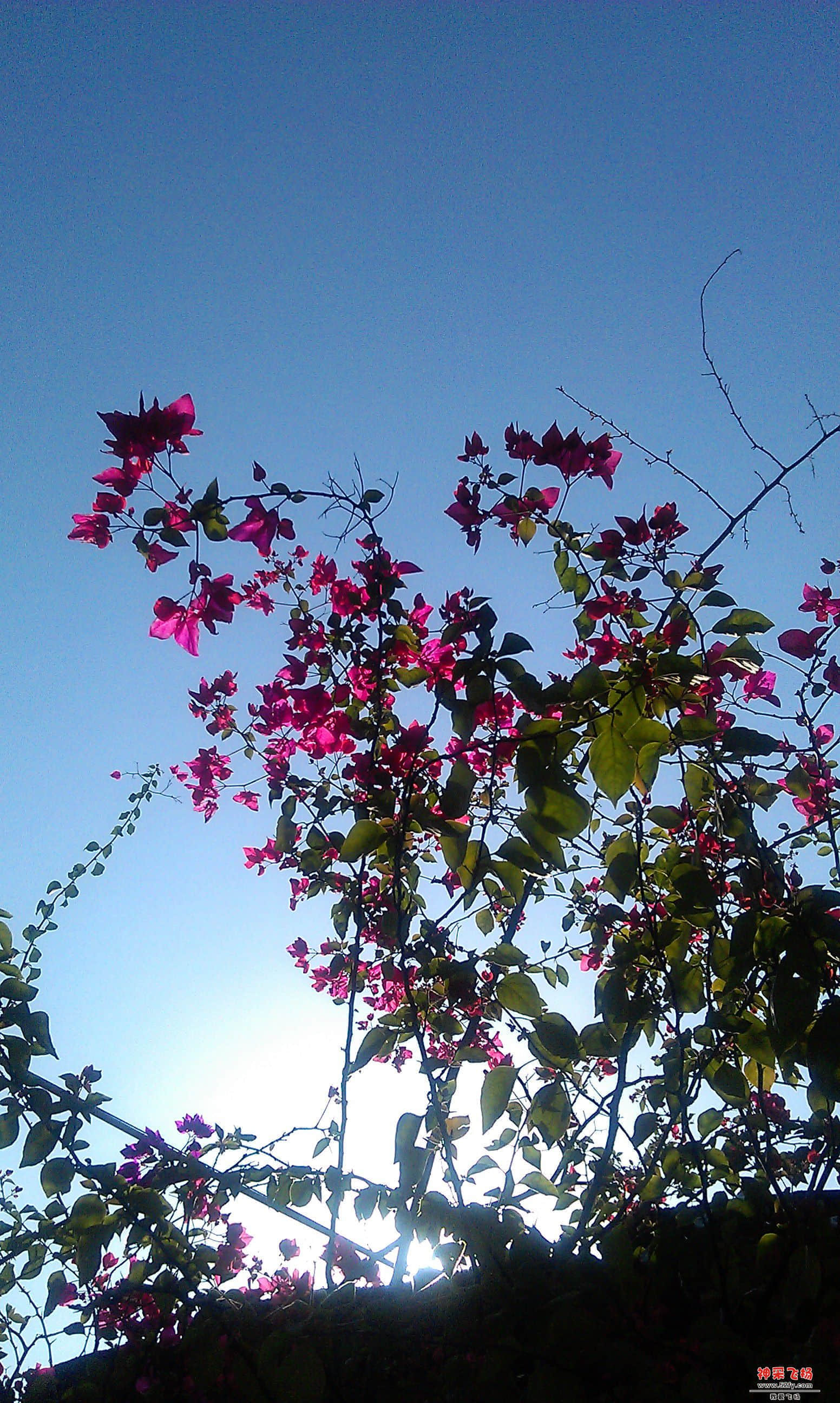 IMAG0020.jpg