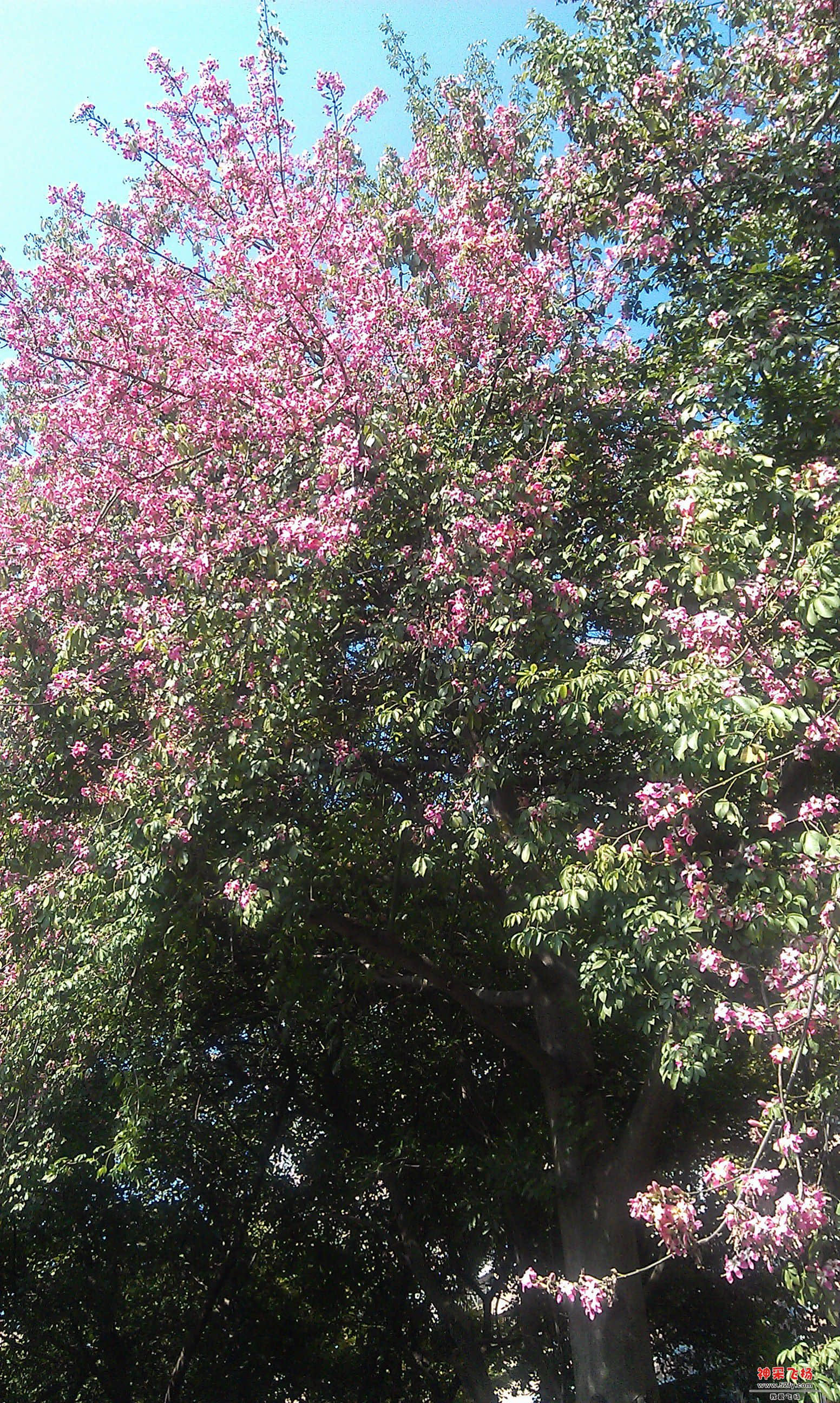 IMAG0038.jpg