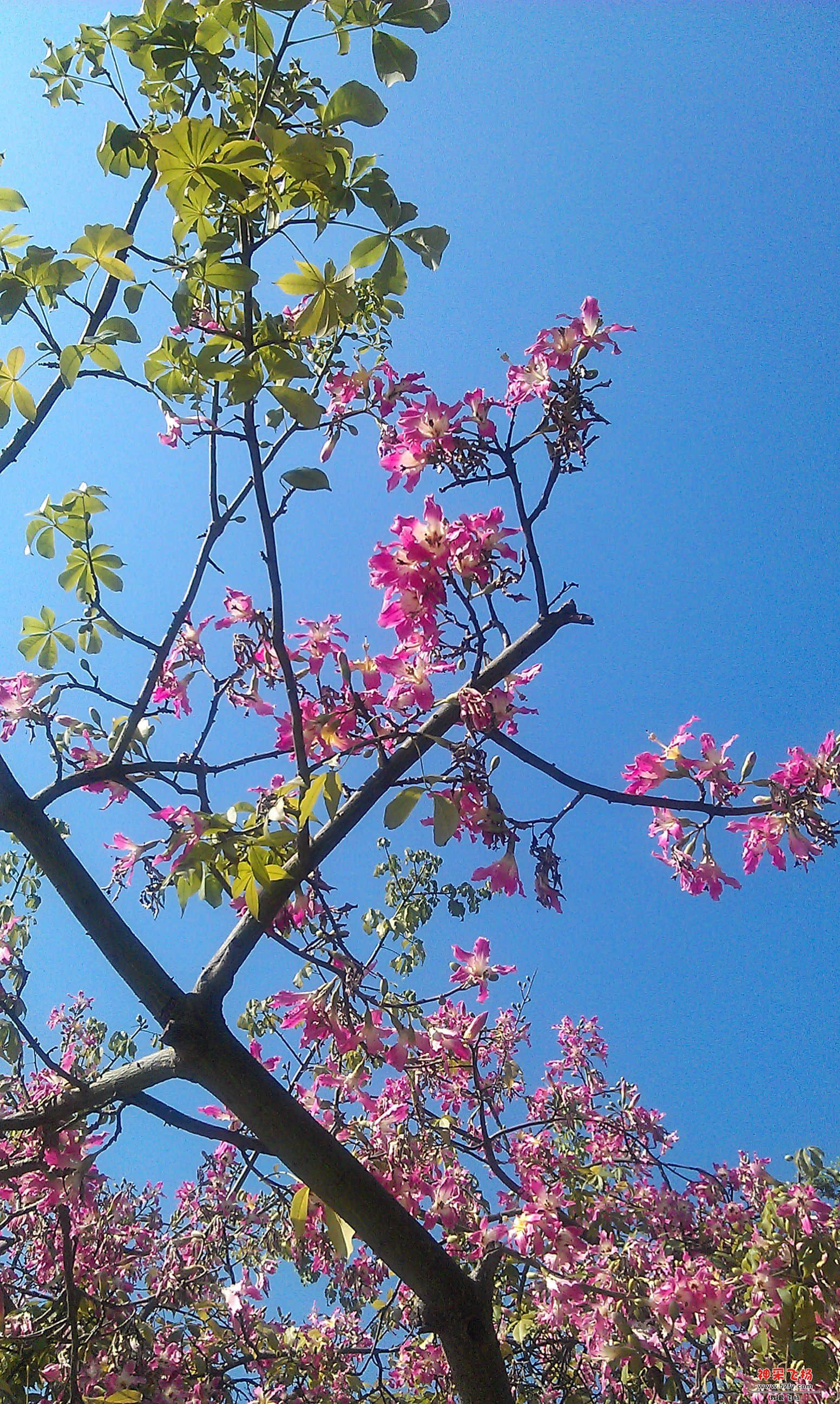 IMAG0039.jpg