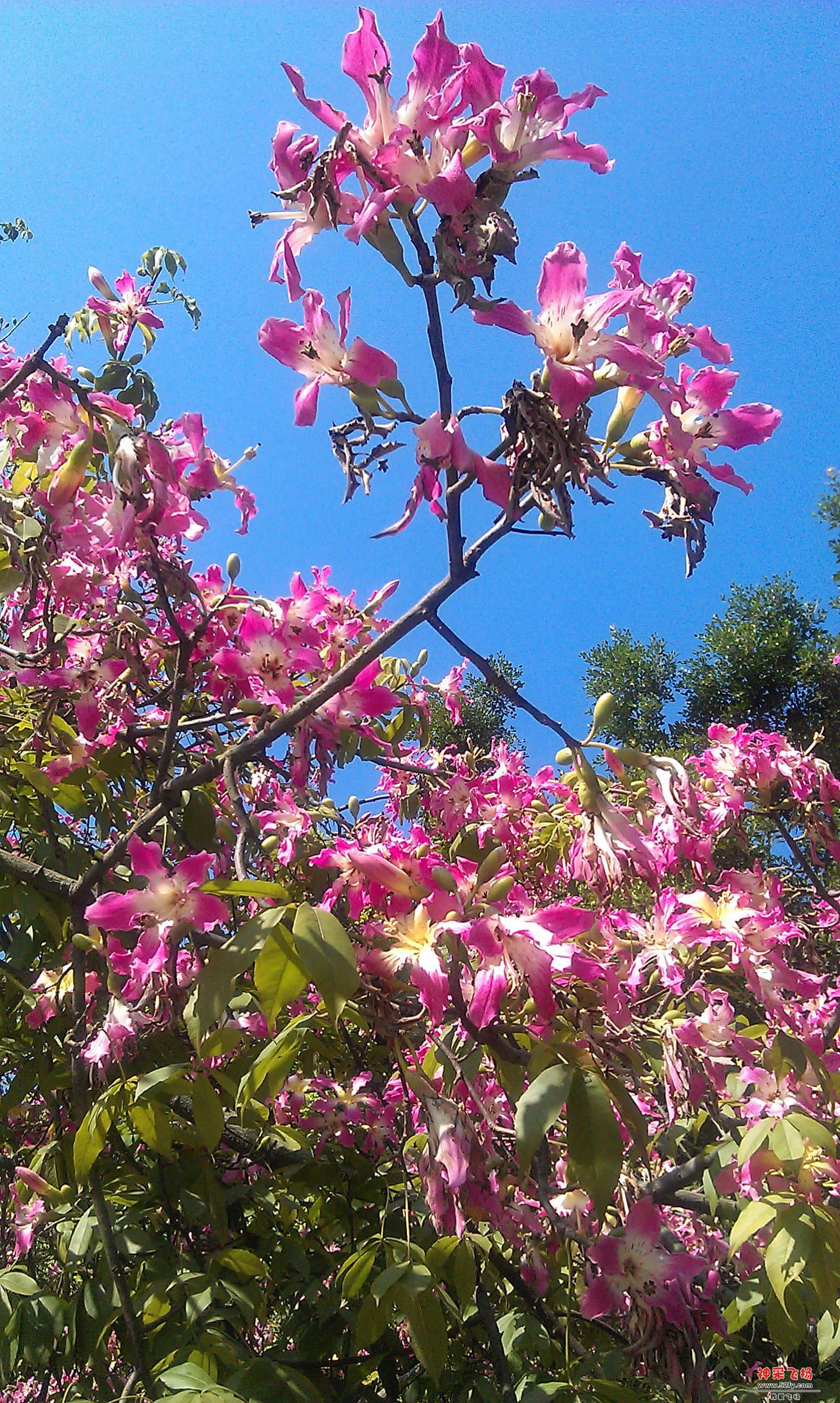 IMAG0040.jpg