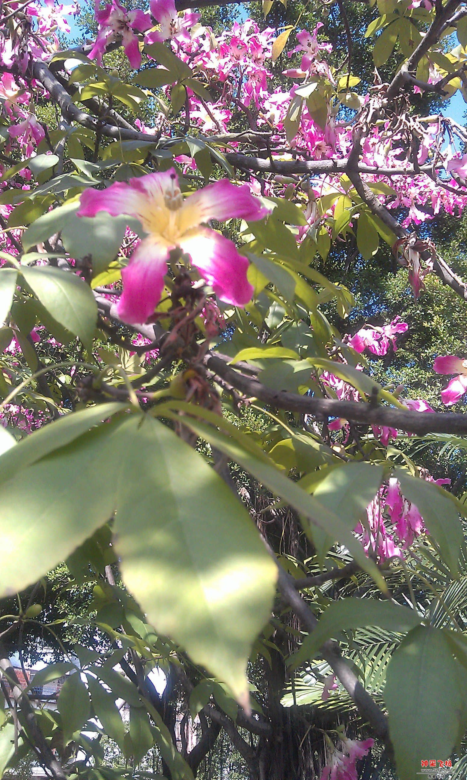 IMAG0041.jpg