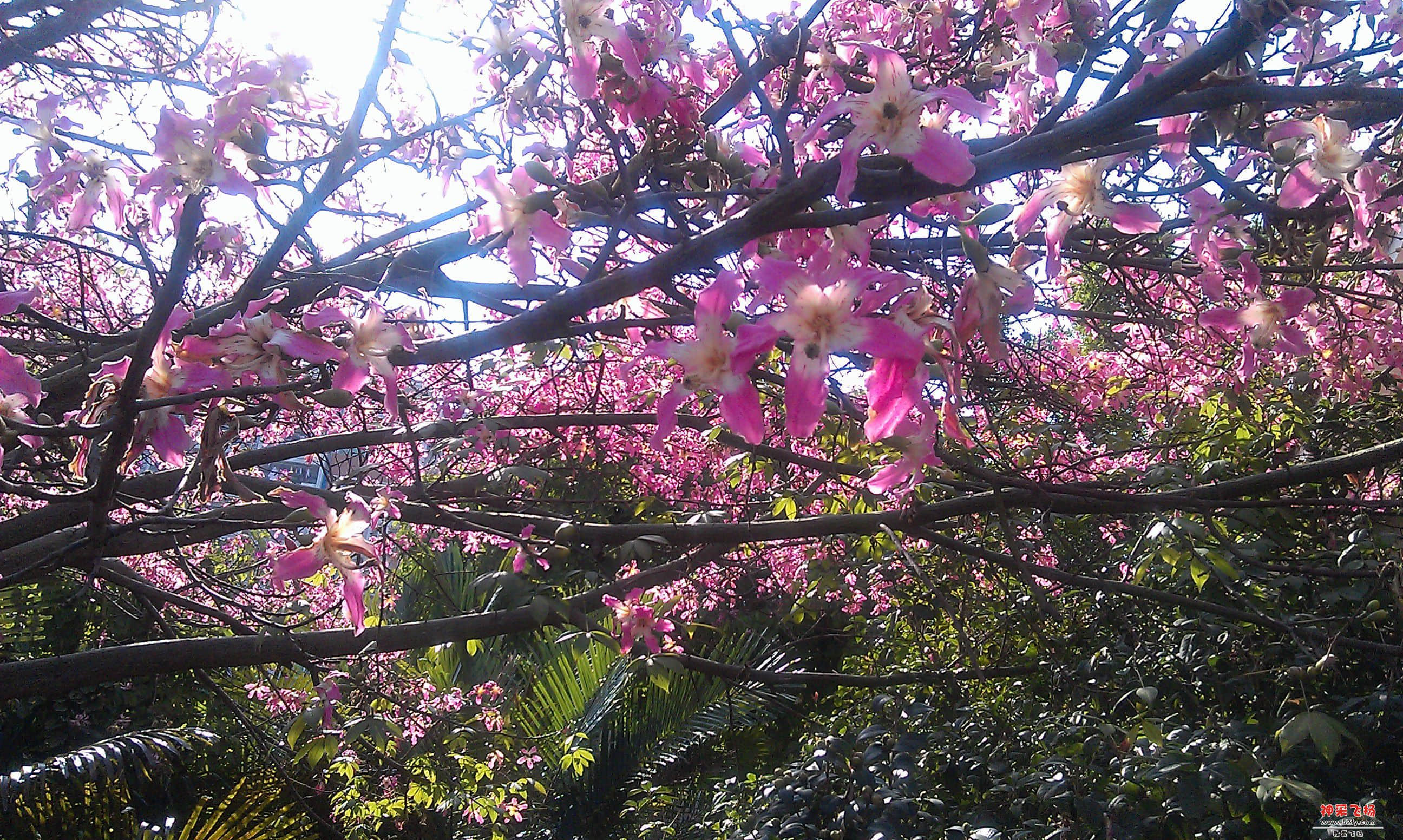 IMAG0044.jpg