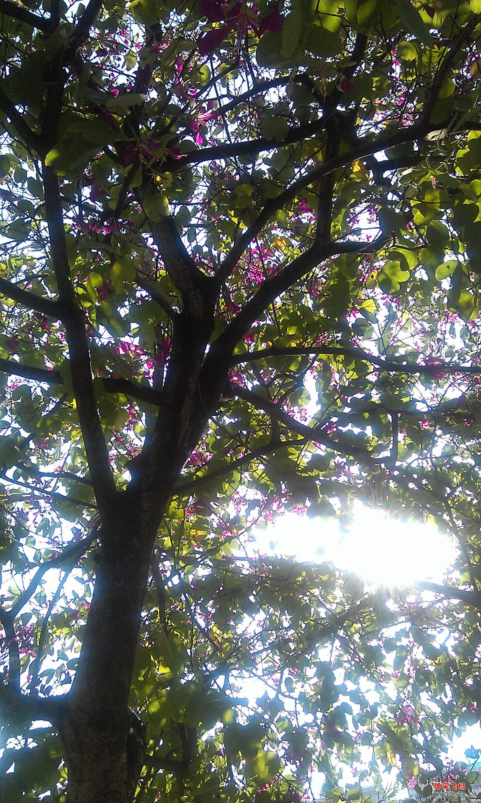IMAG0002.jpg