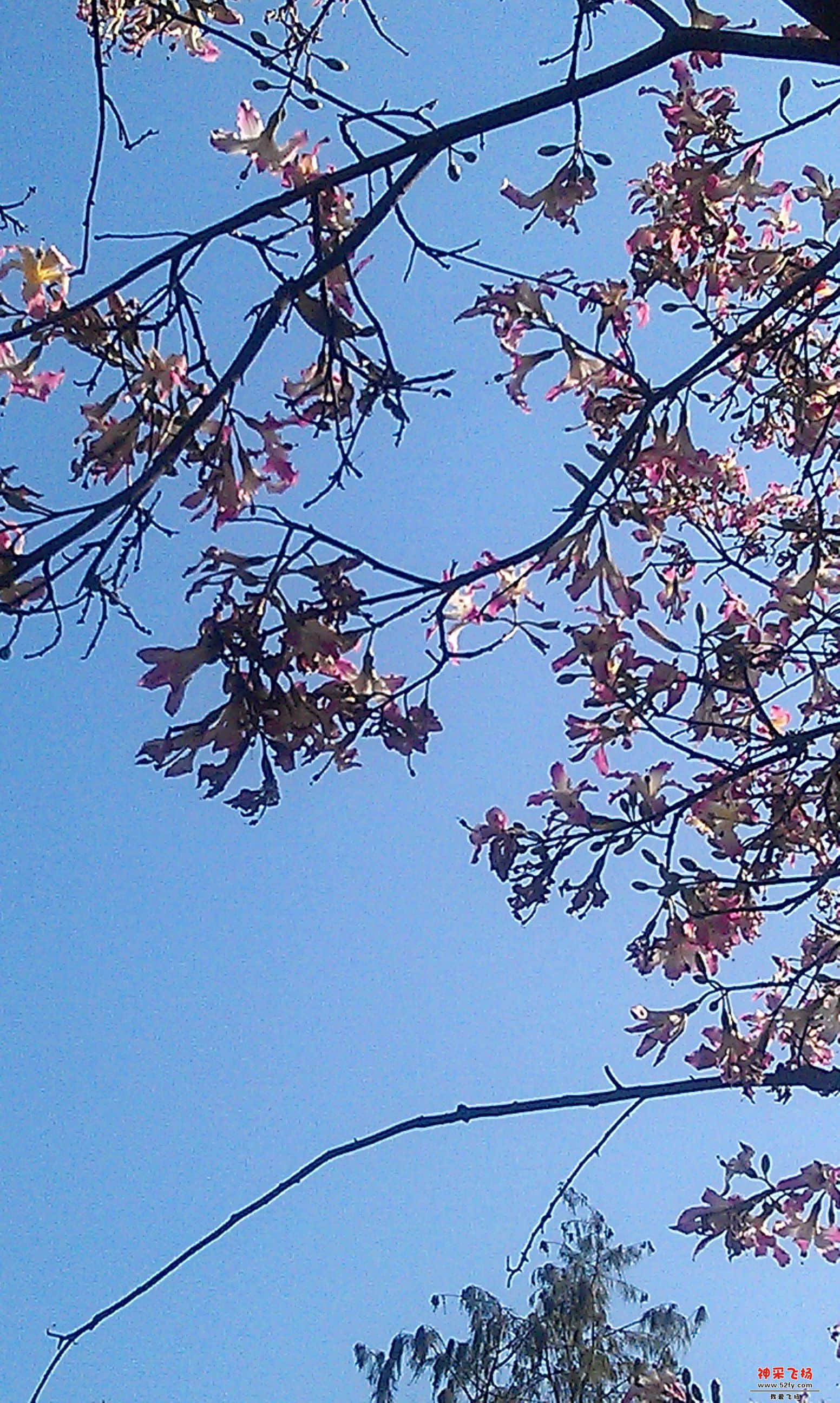 IMAG0004.jpg
