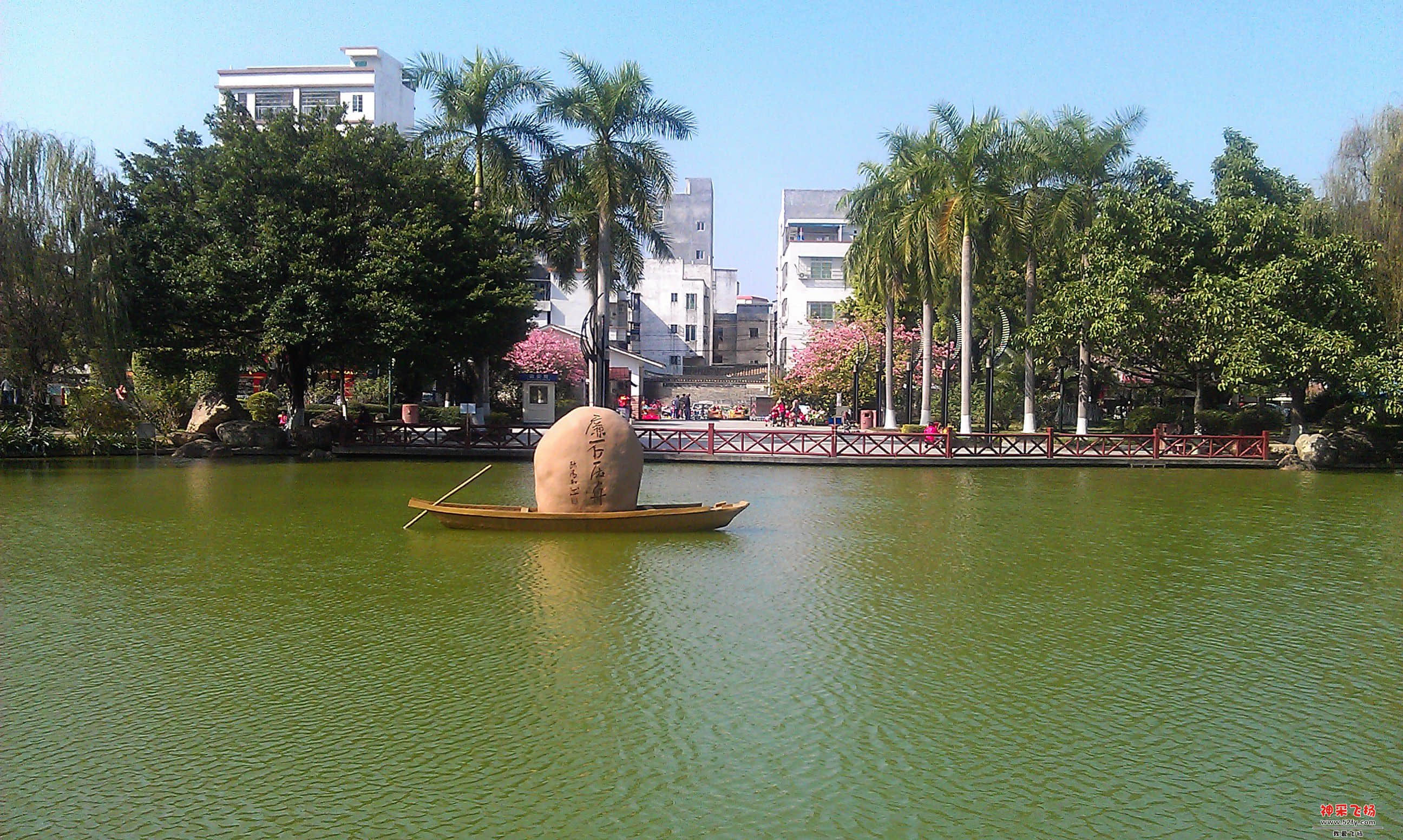 IMAG0008.jpg