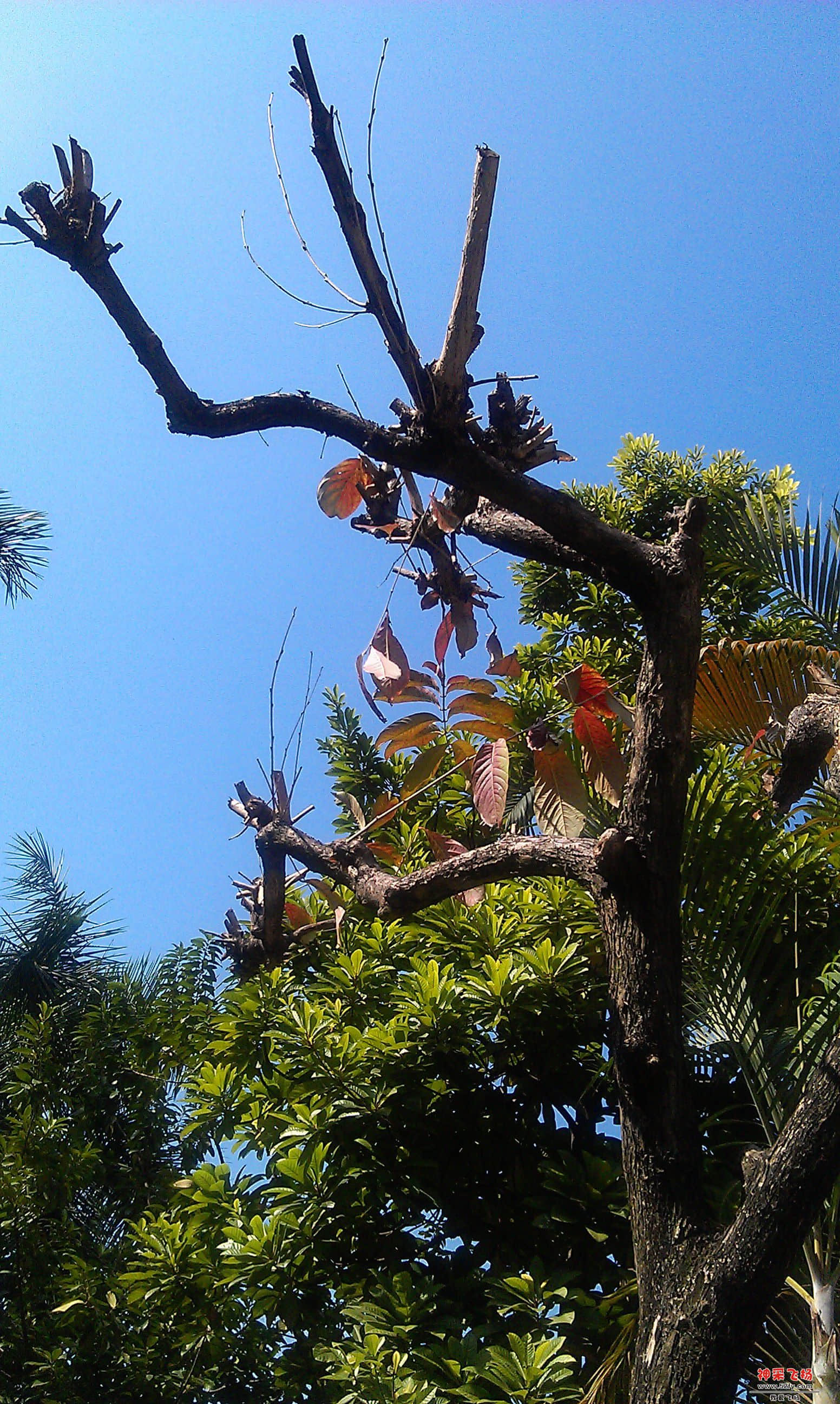 IMAG0010.jpg