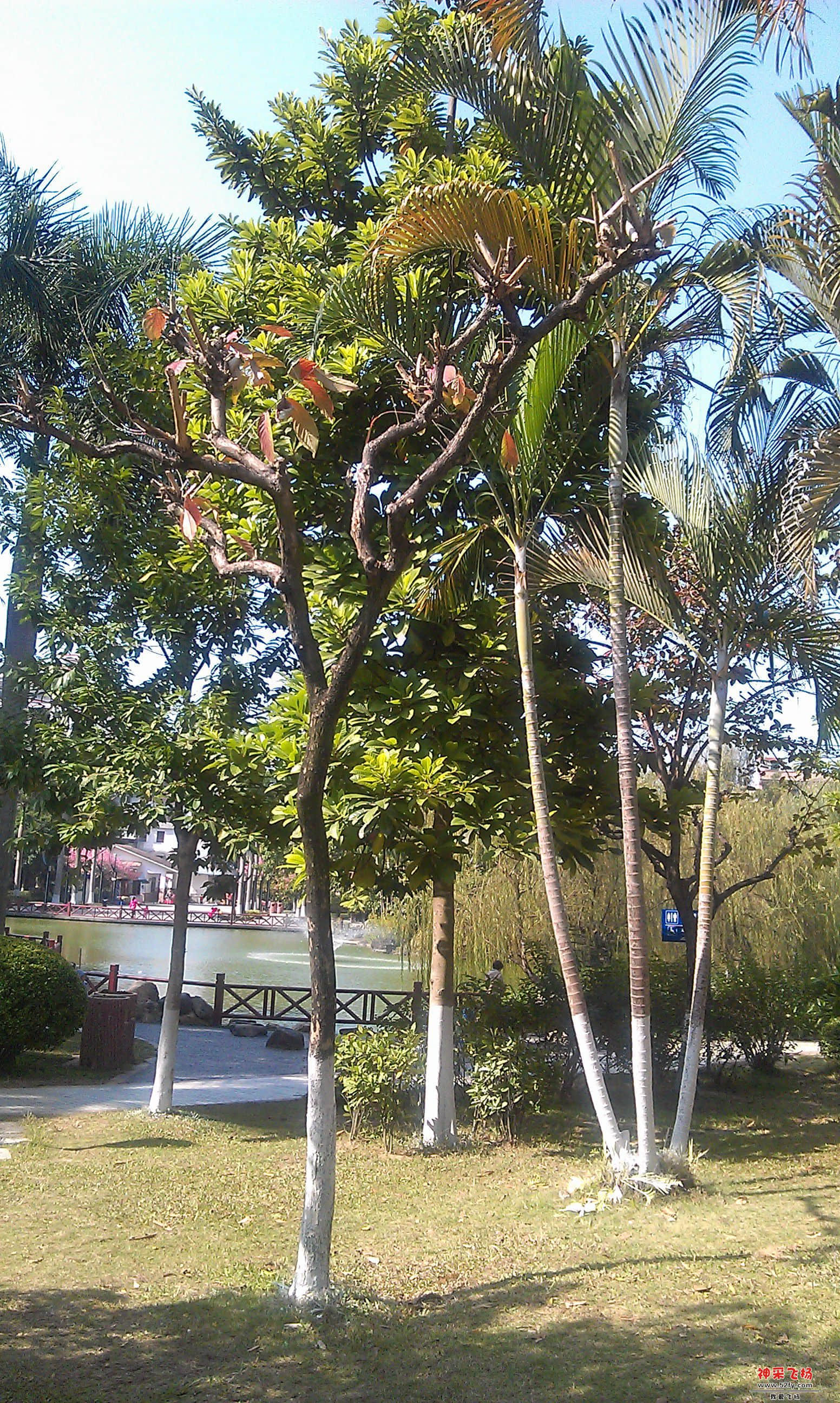IMAG0011.jpg