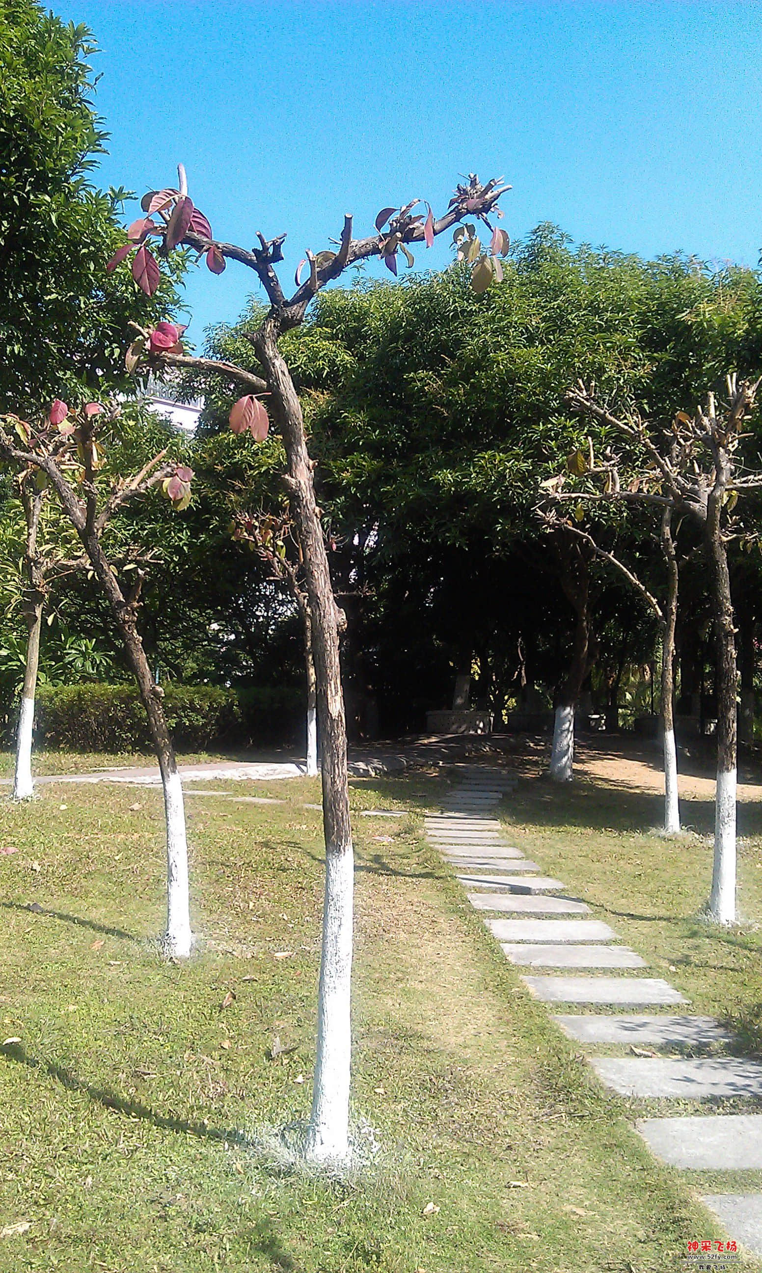 IMAG0012.jpg
