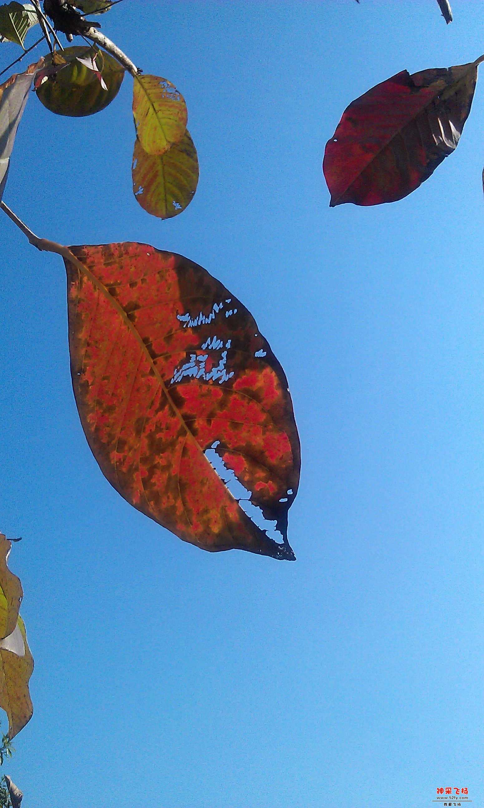 IMAG0013.jpg