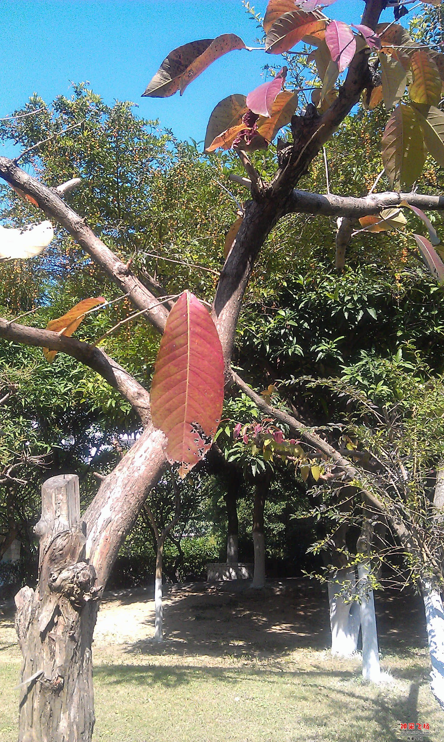 IMAG0014.jpg