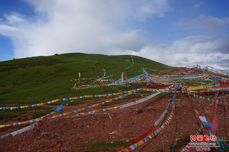 DSC02315_副本.jpg