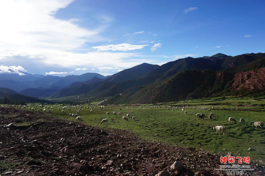 DSC02320_副本.jpg