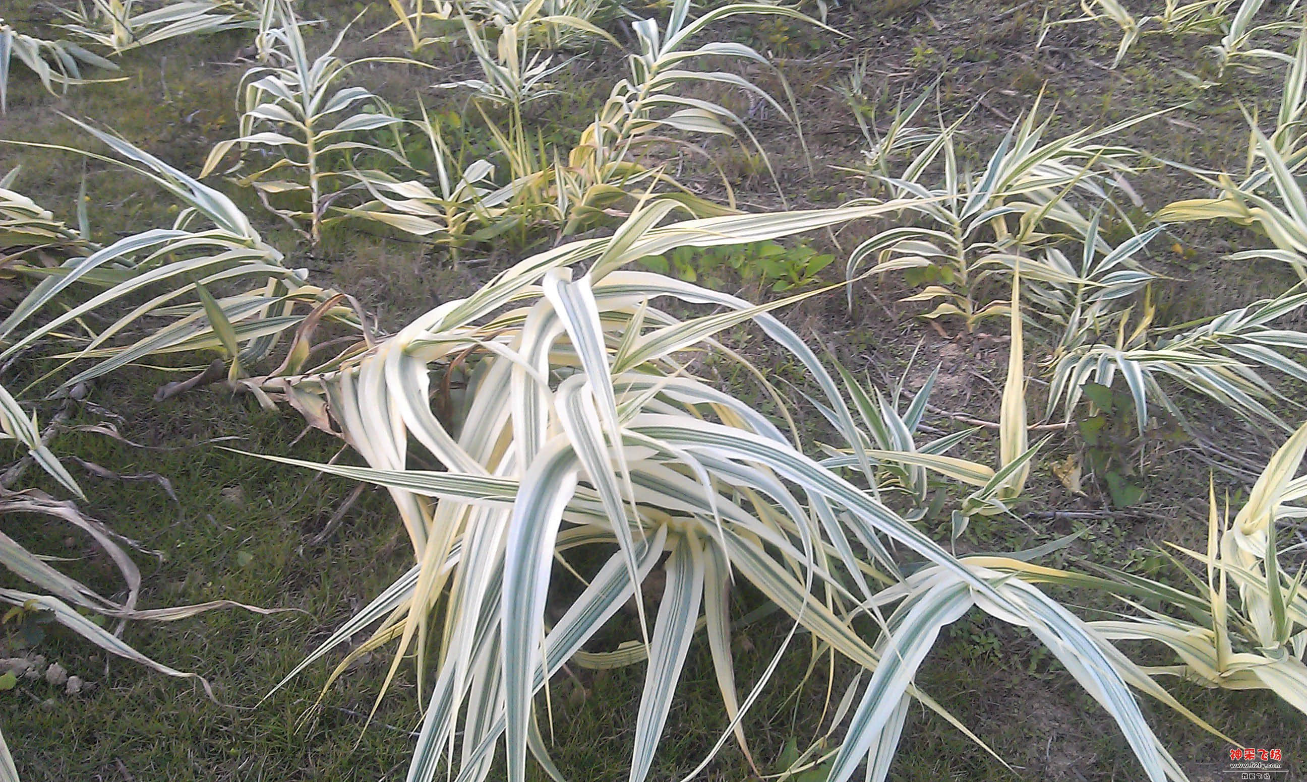 IMAG0027.jpg