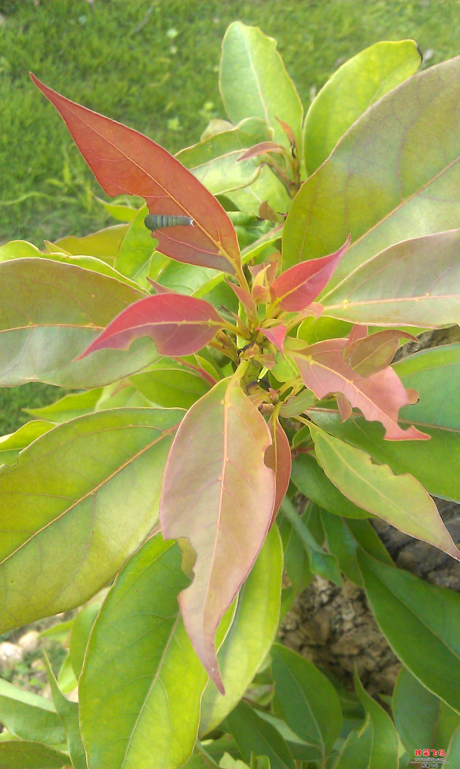IMAG0029.jpg