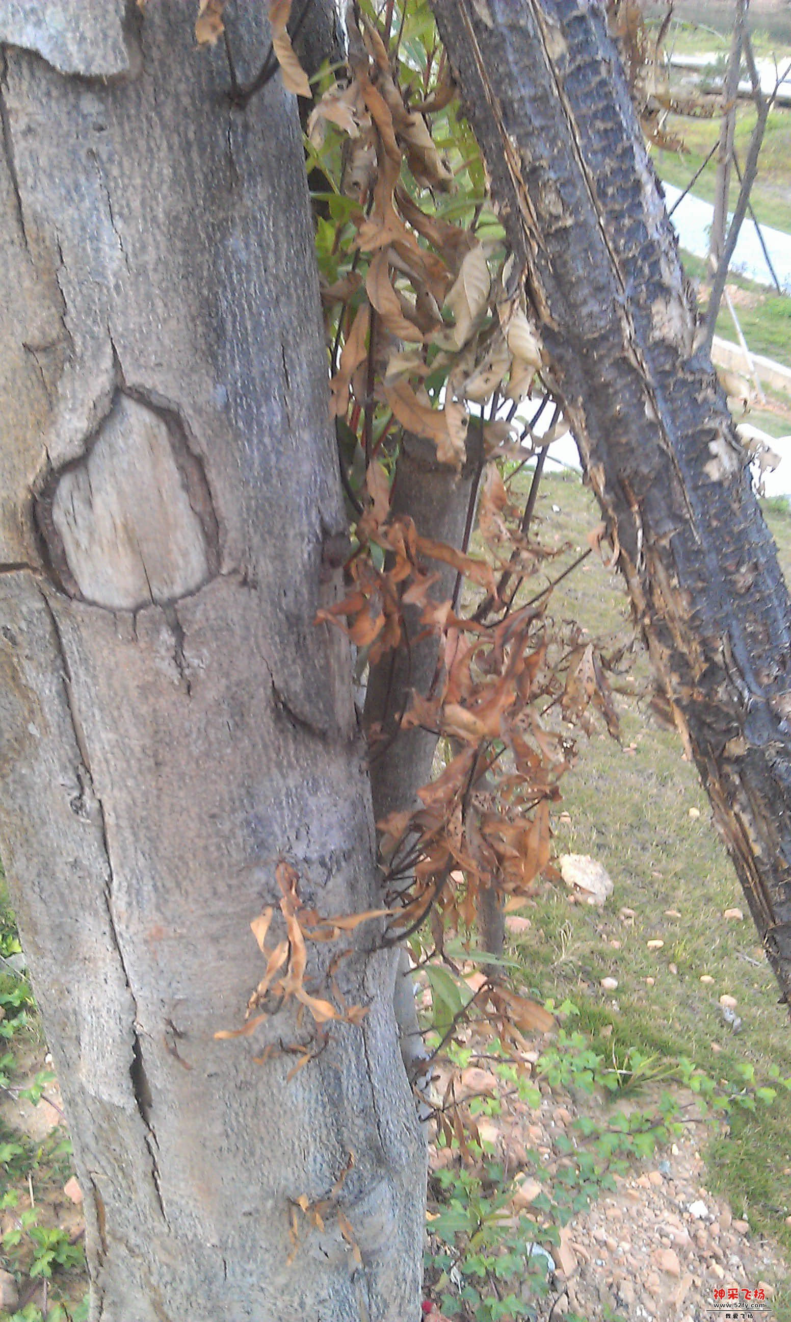 IMAG0031.jpg