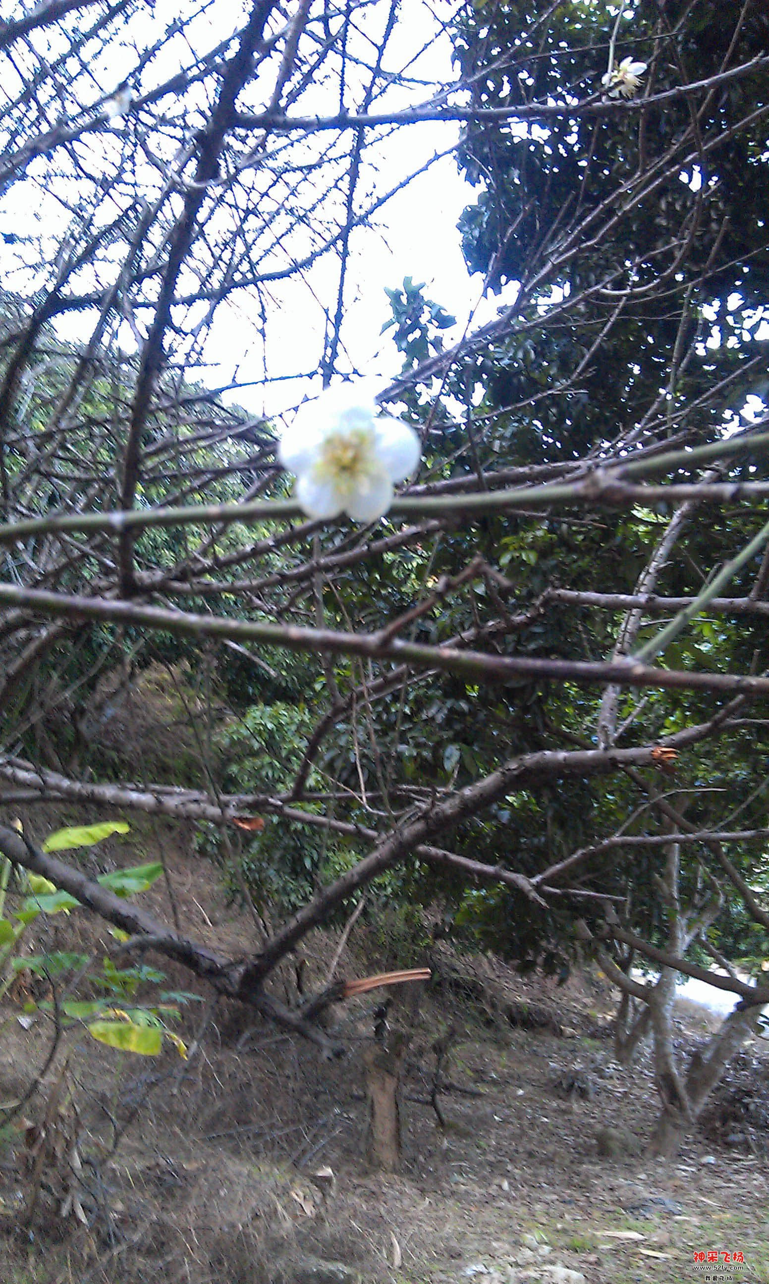 IMAG0014.jpg