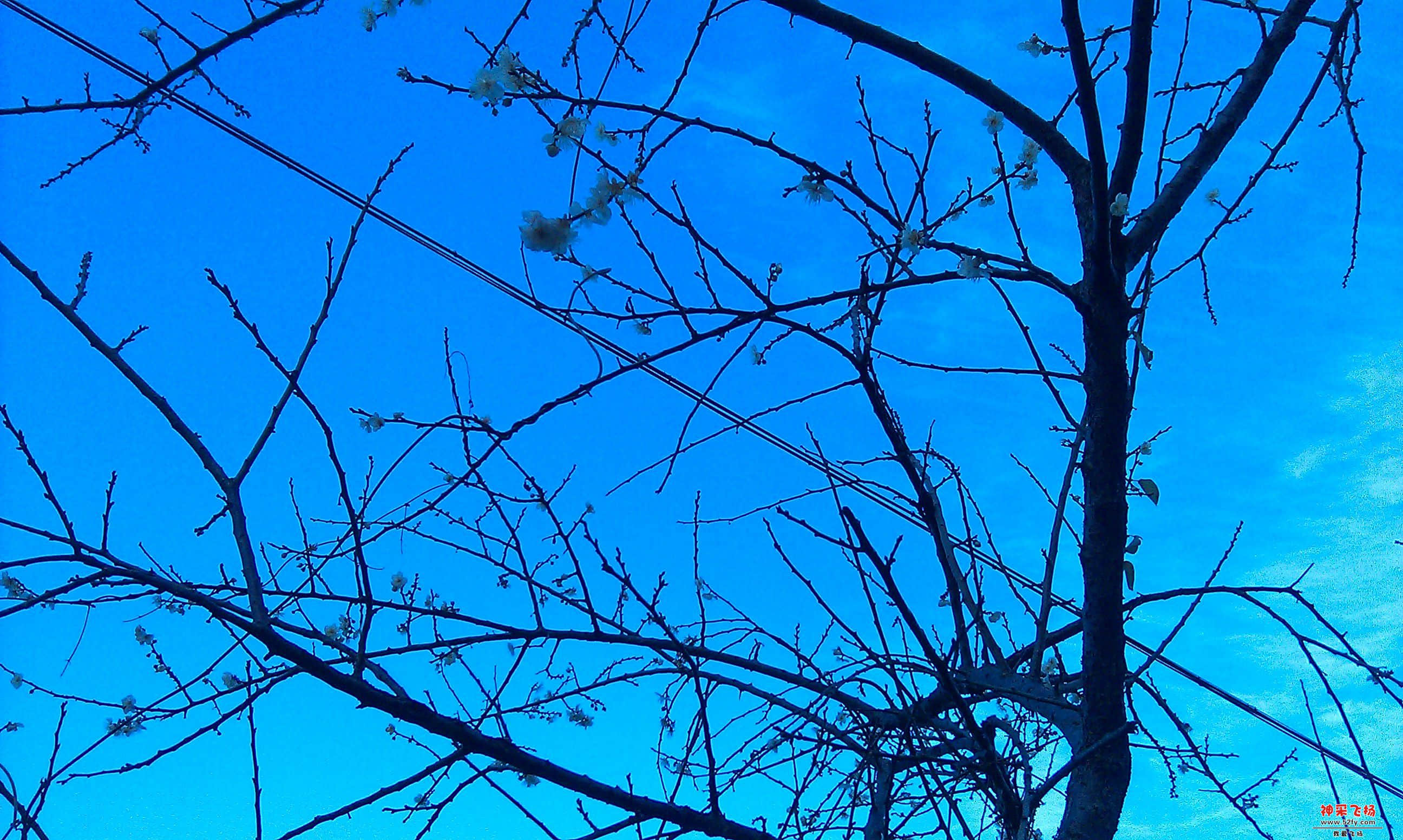 IMAG0016.jpg