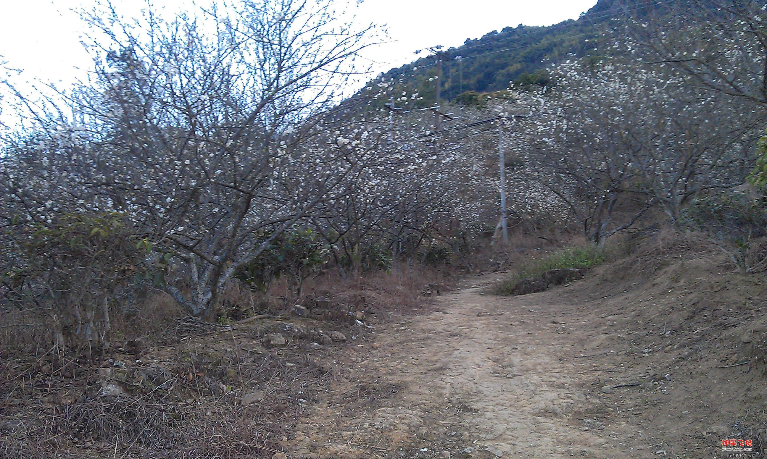 IMAG0022.jpg