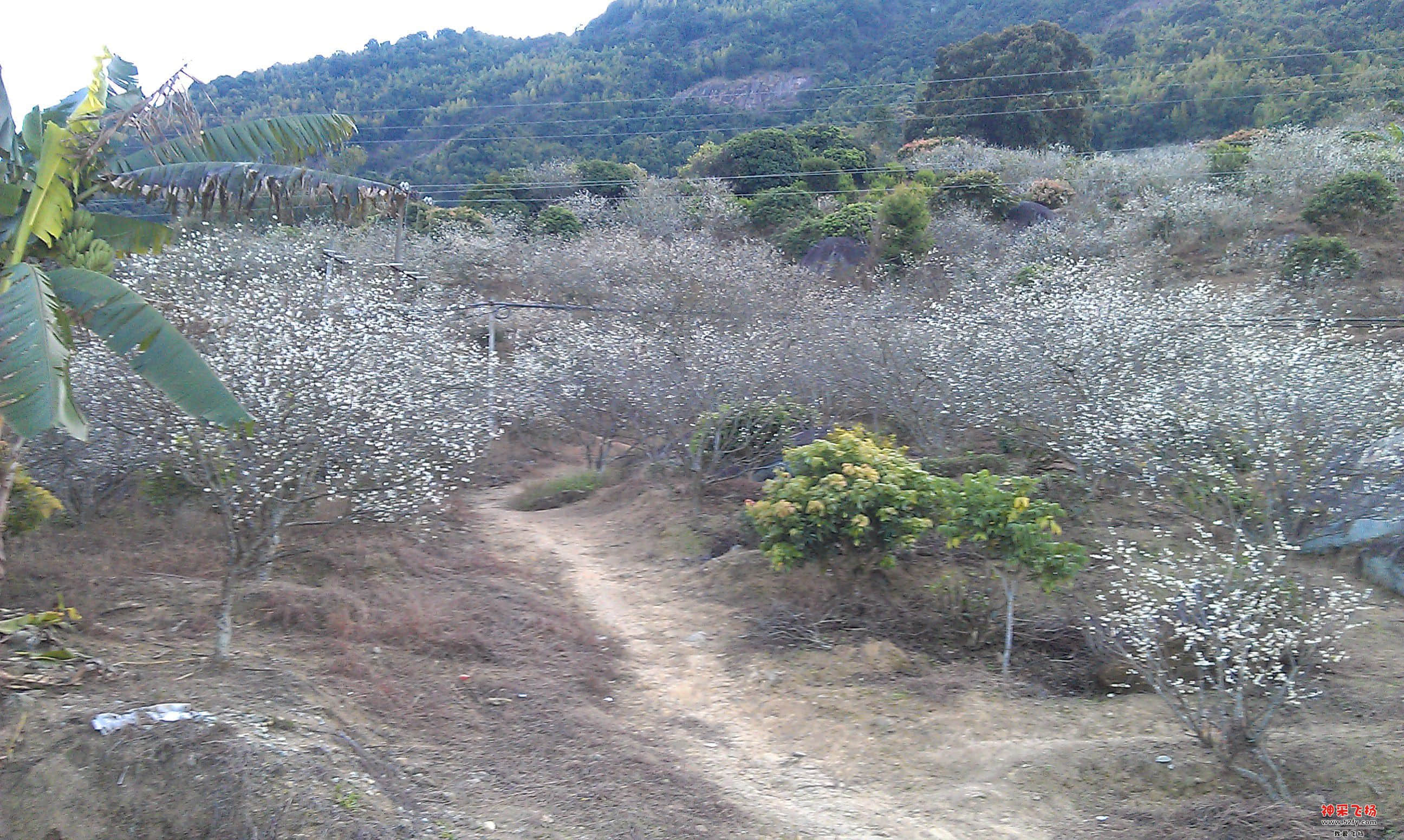 IMAG0026.jpg