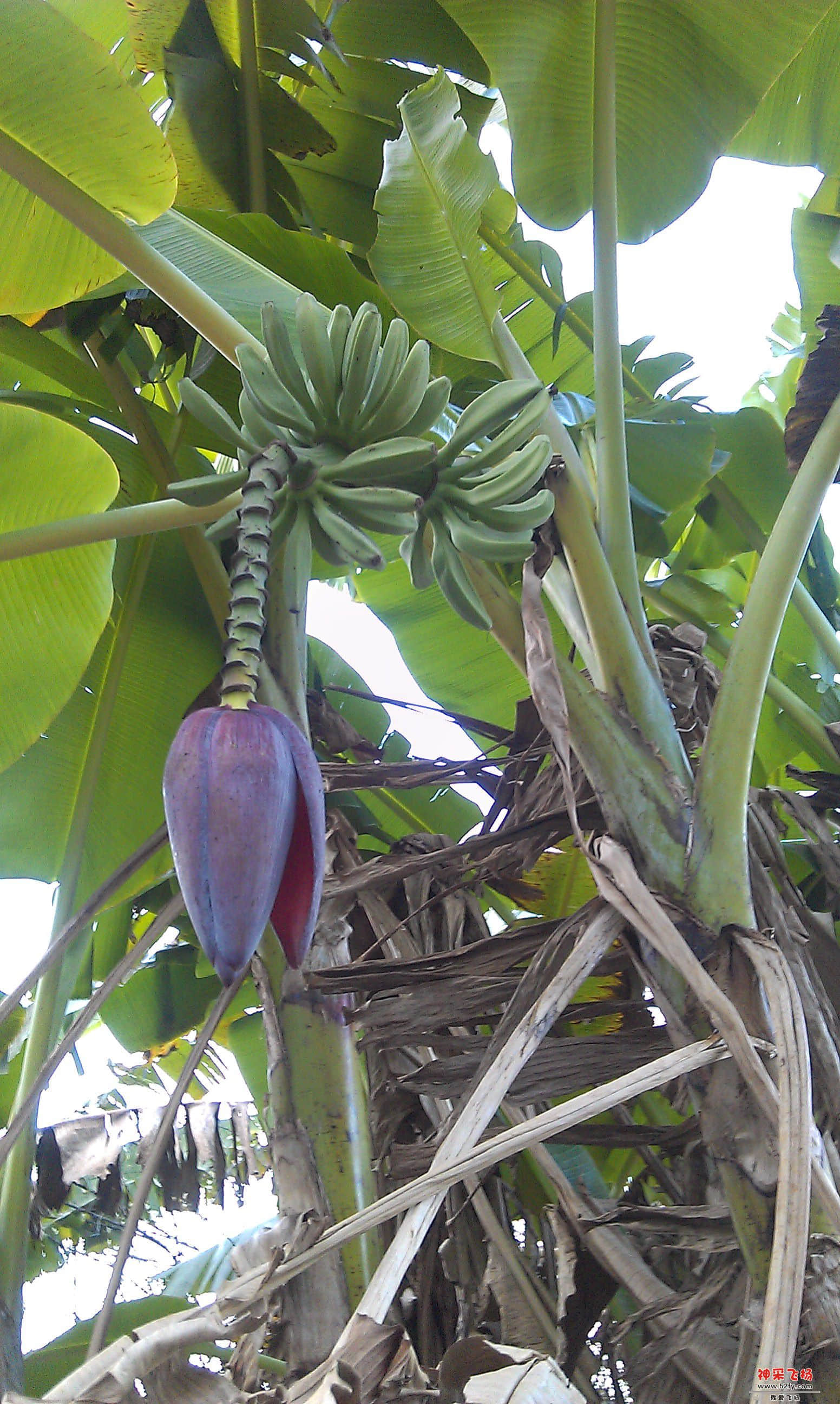 IMAG0027.jpg