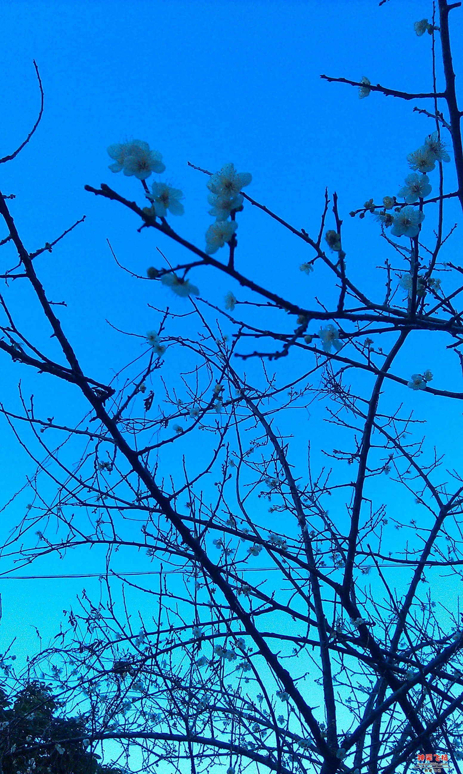 IMAG0028.jpg