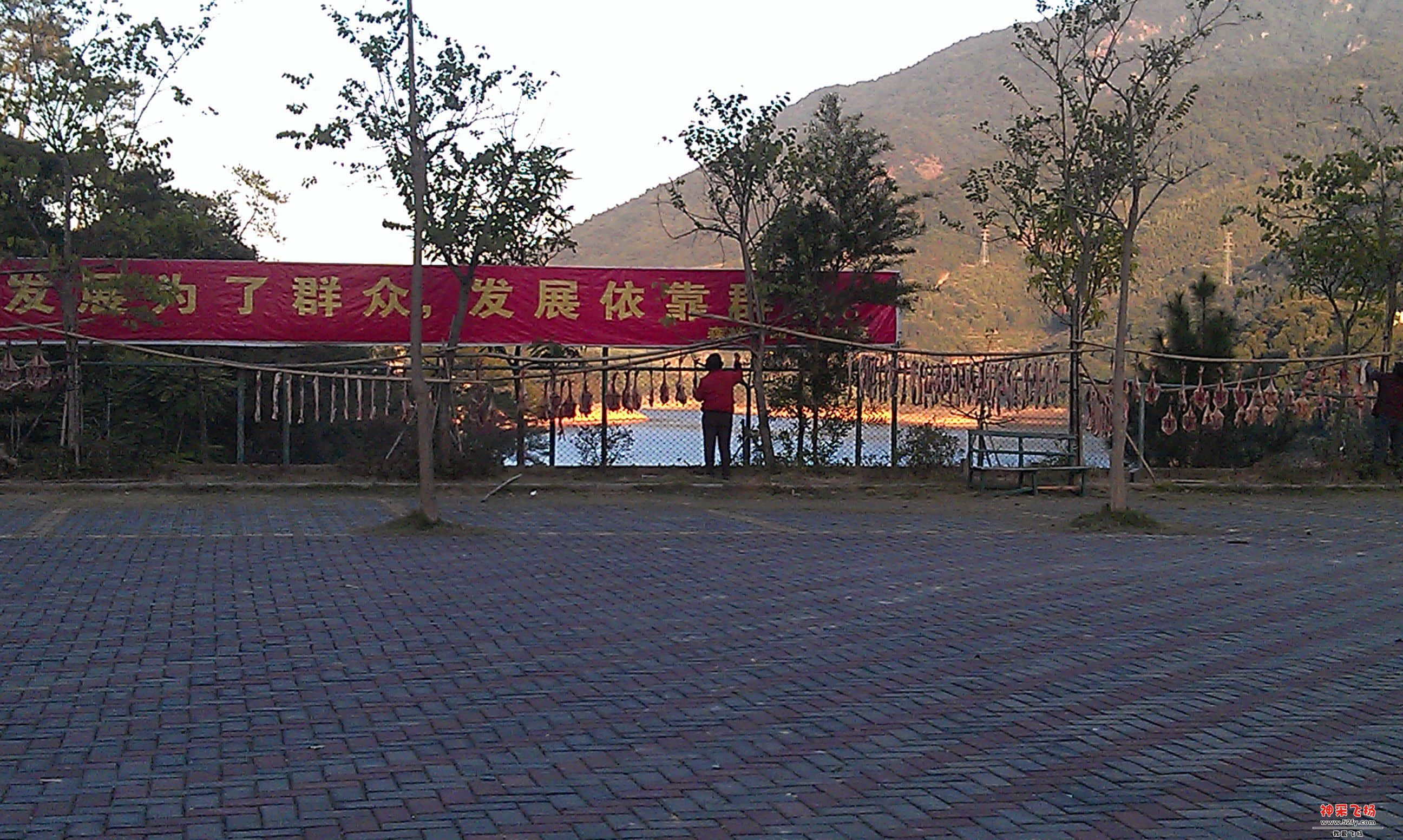 IMAG0060.jpg