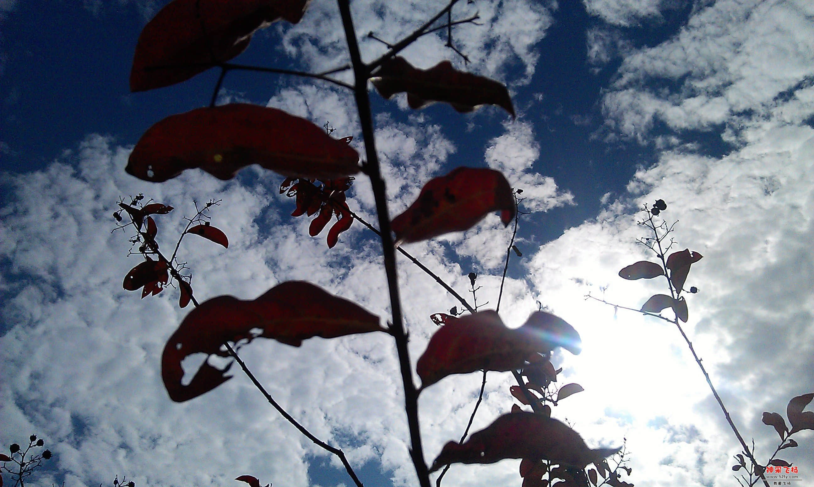 IMAG0067.jpg
