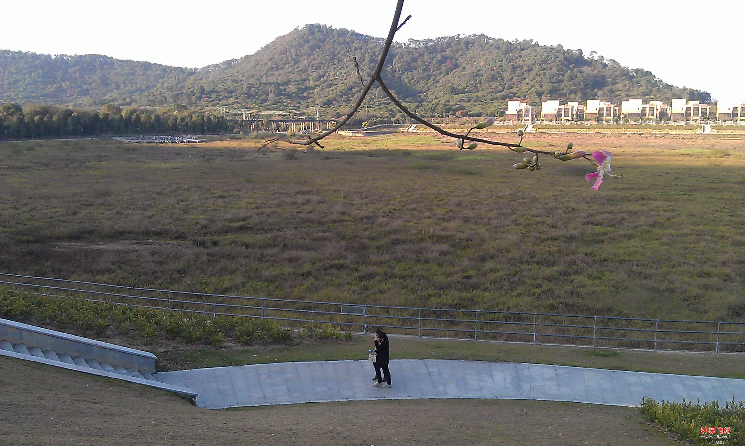 IMAG0083.jpg