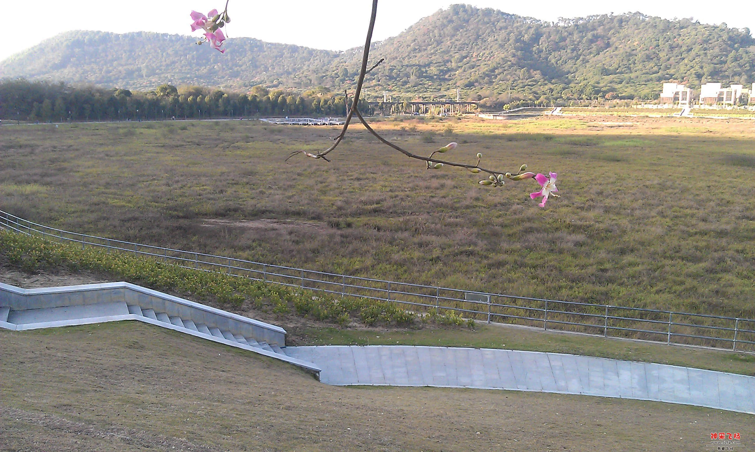 IMAG0085.jpg