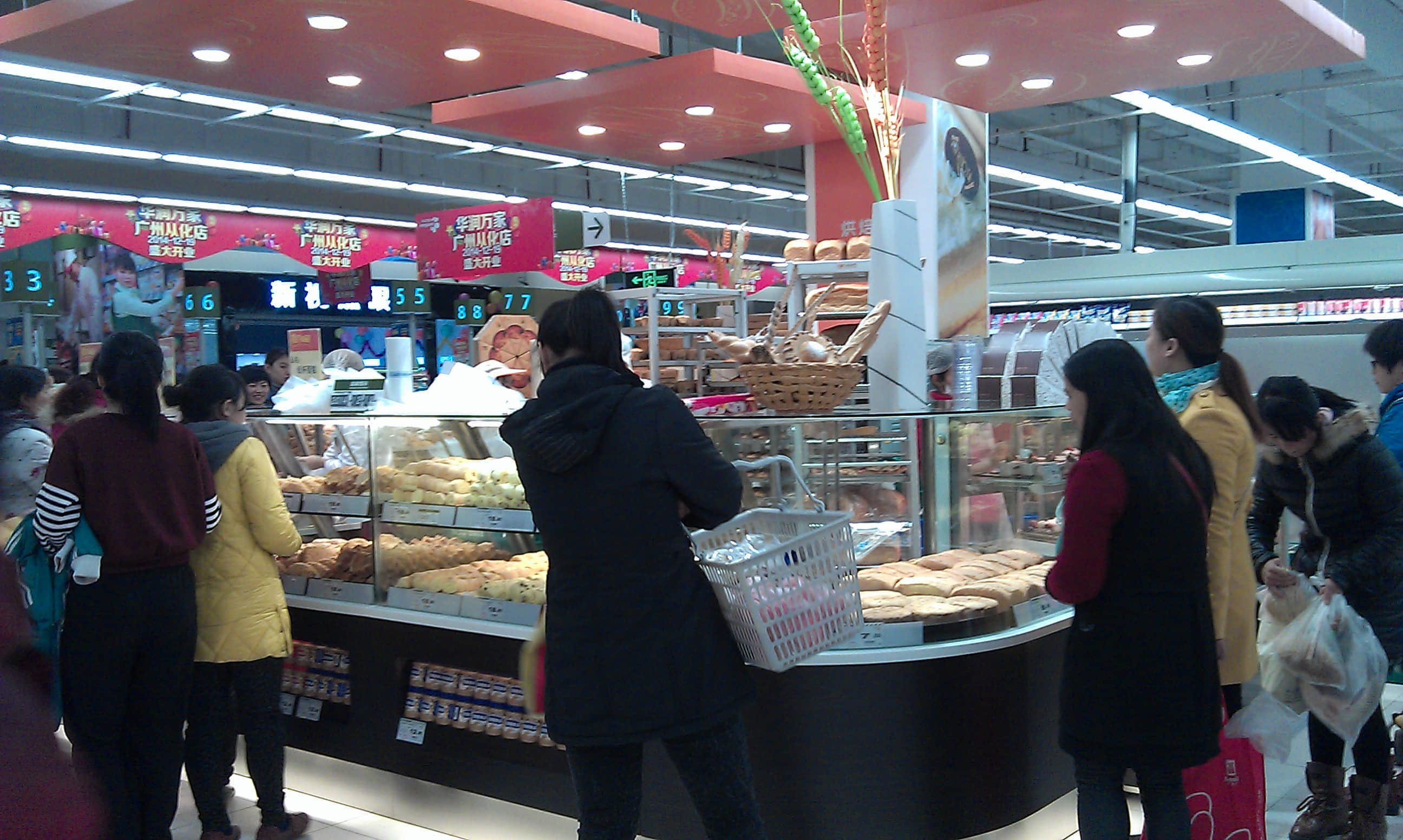 IMAG0105.jpg