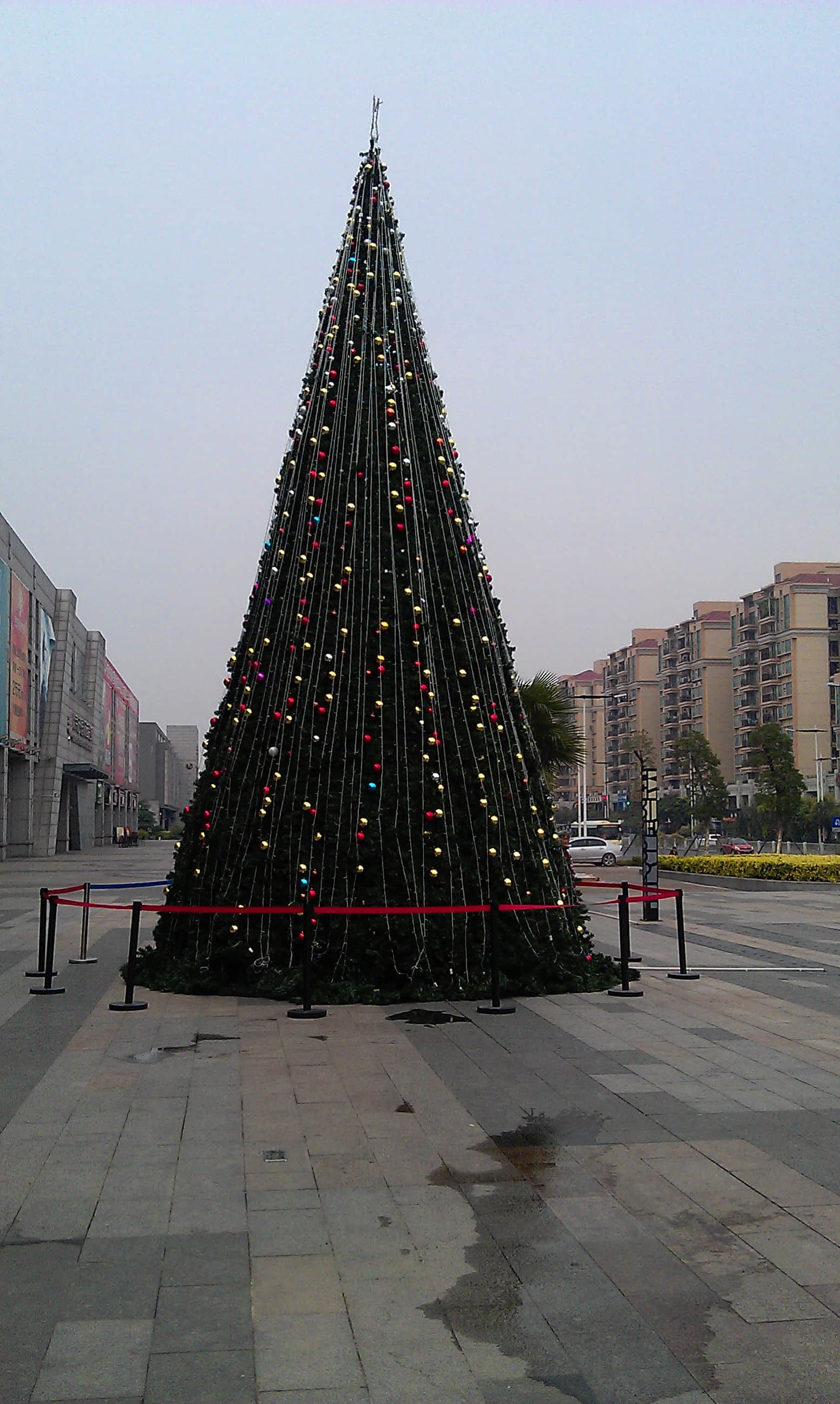 IMAG0003.jpg
