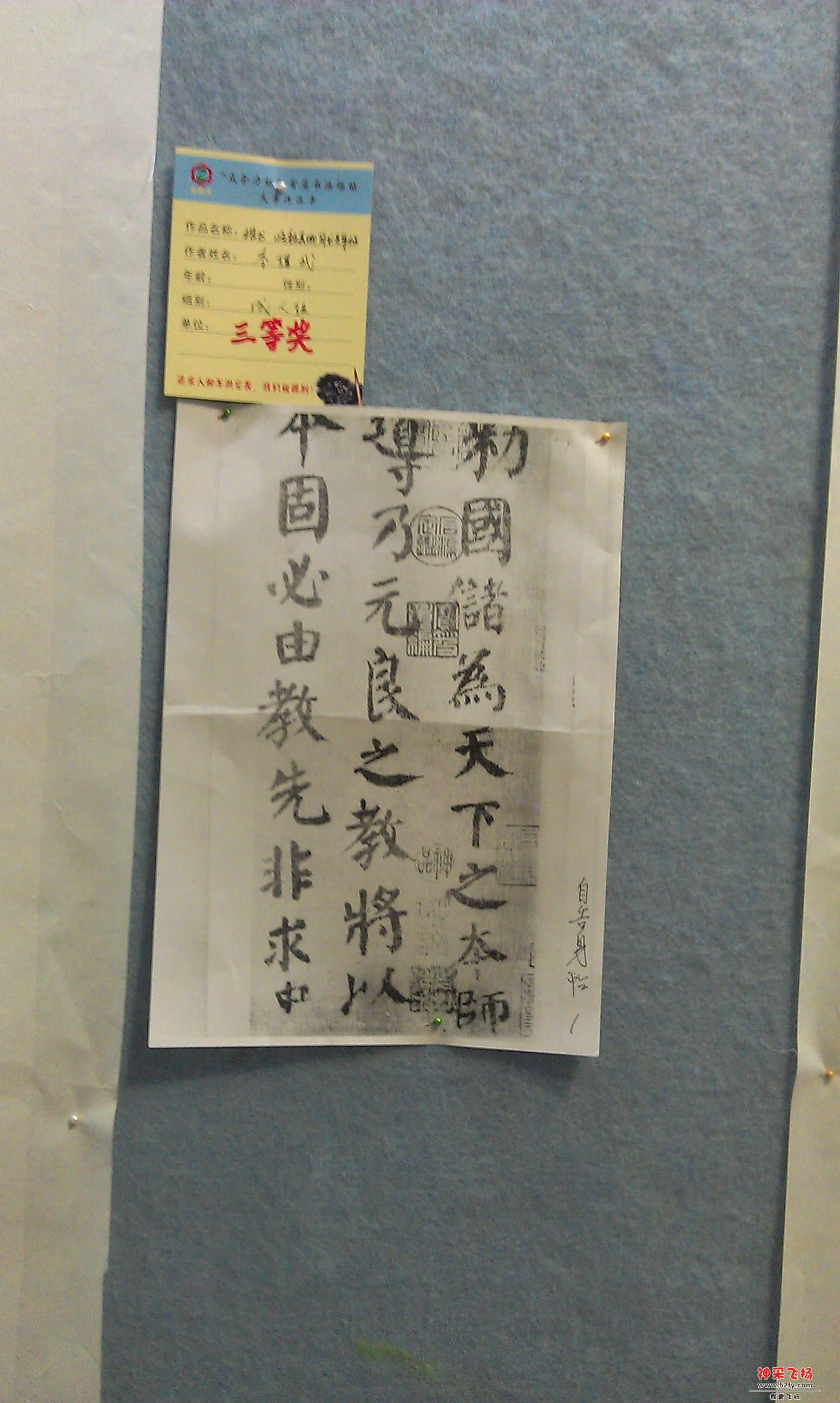 IMAG0025.jpg