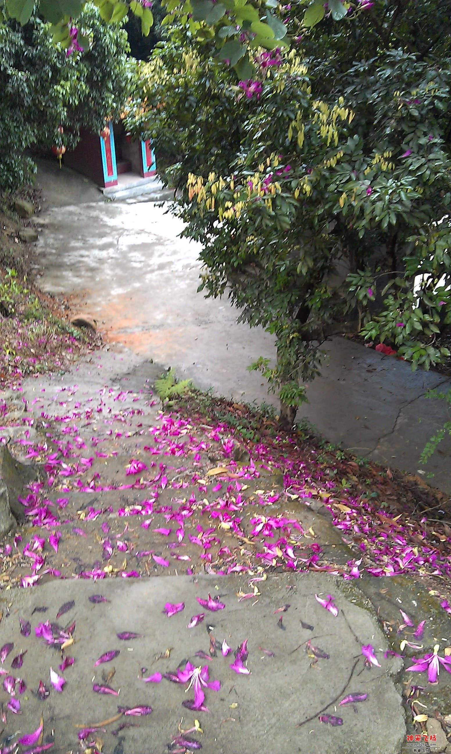 IMAG0005.jpg