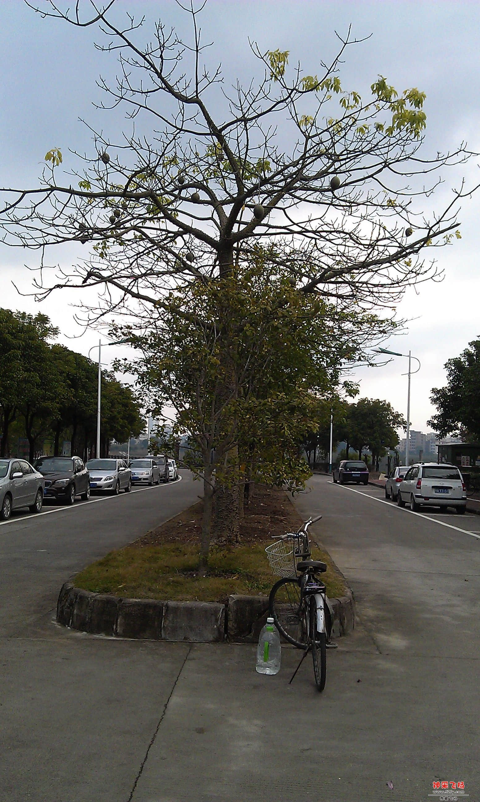 IMAG0006.jpg