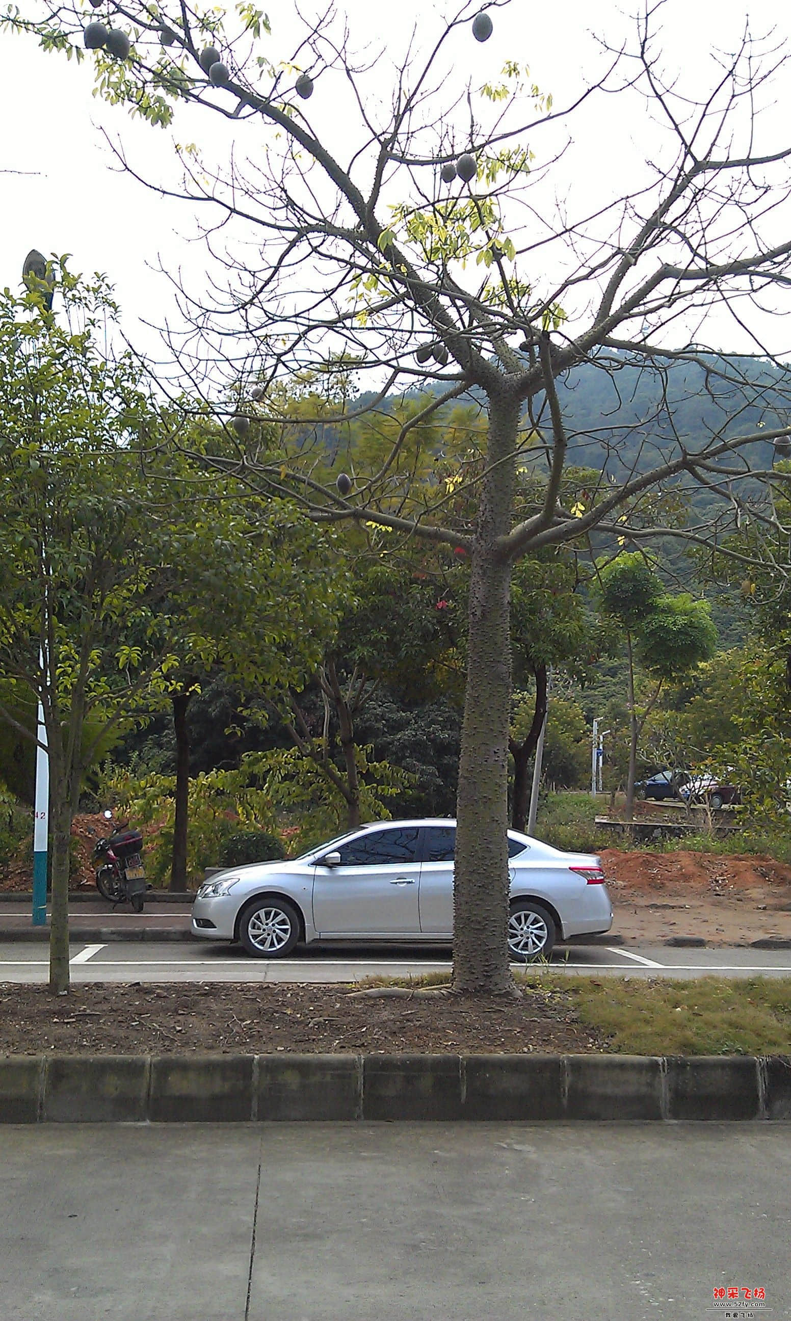 IMAG0012.jpg