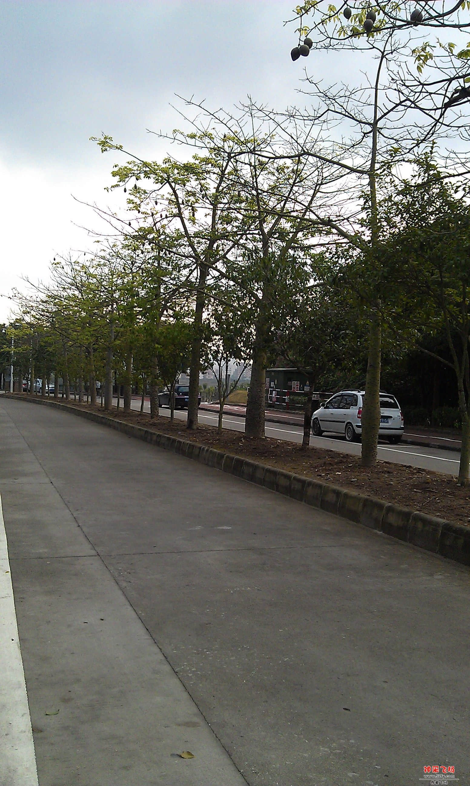 IMAG0015.jpg