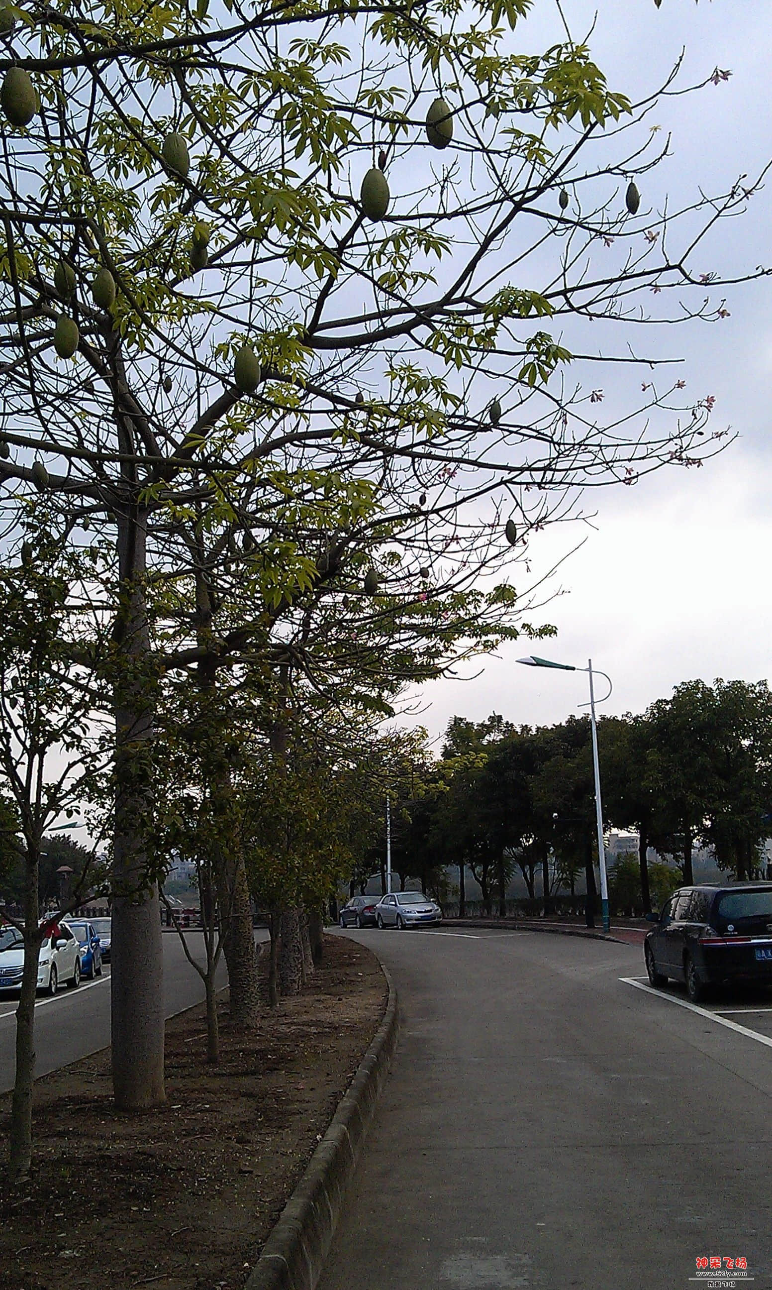 IMAG0017.jpg
