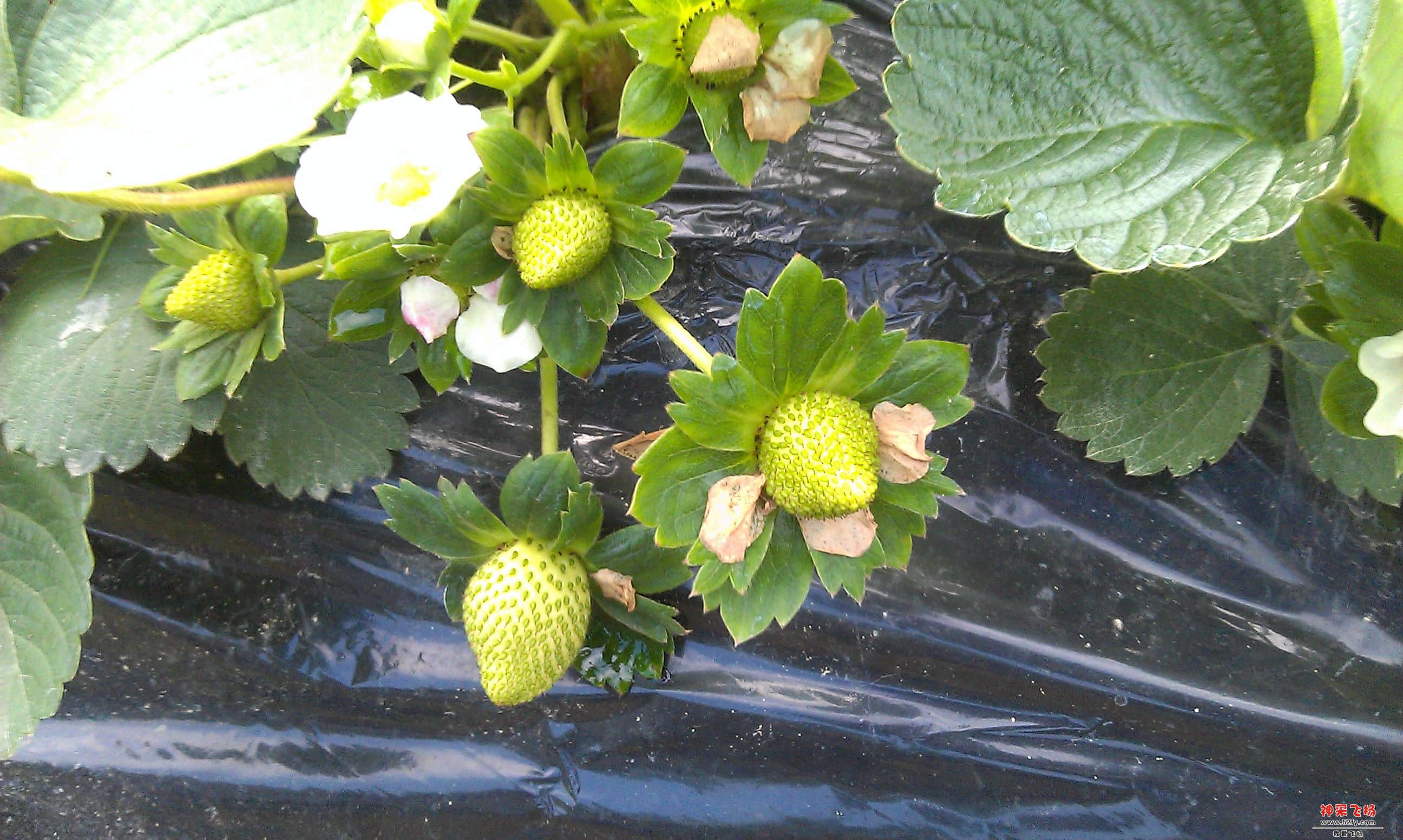 IMAG0042.jpg