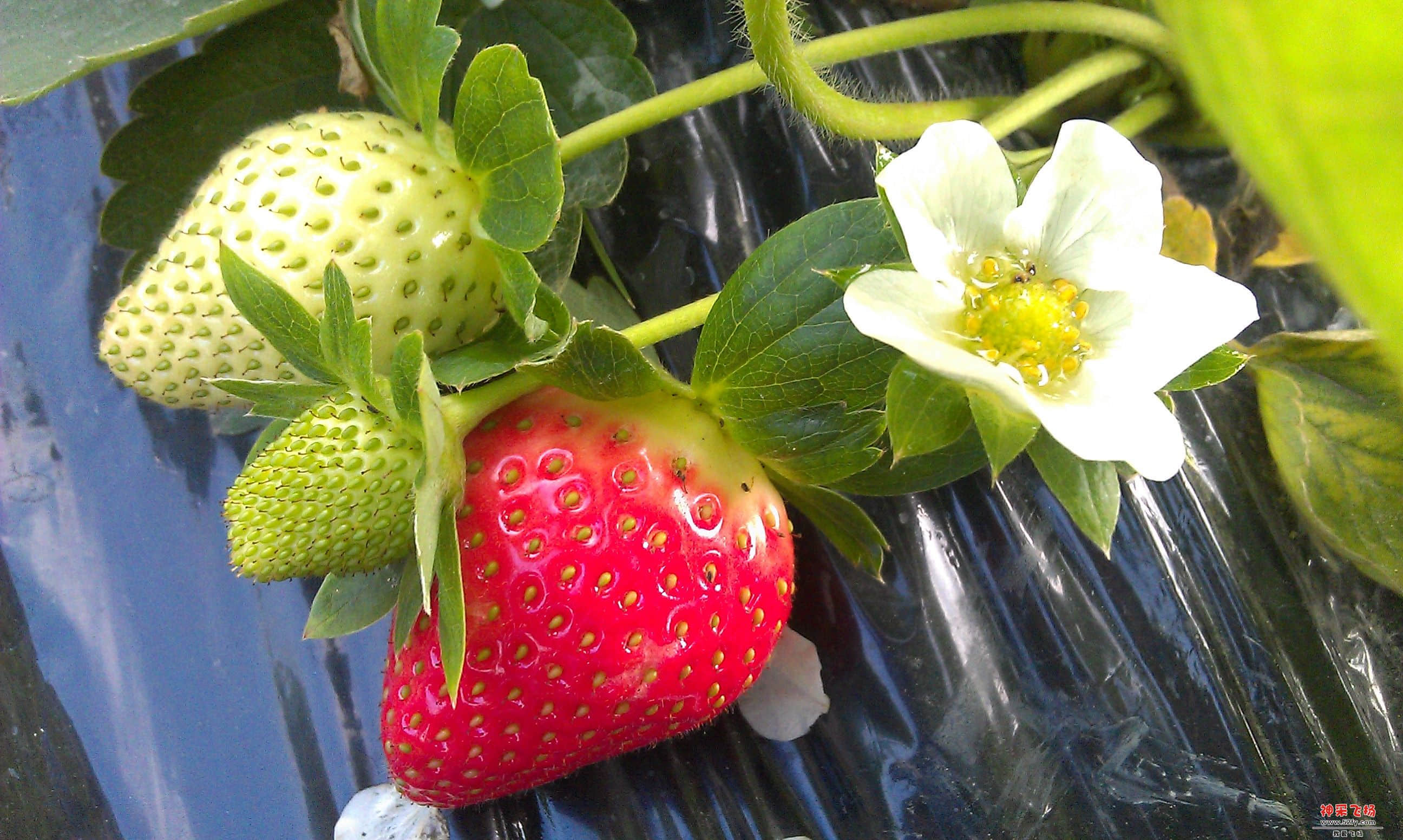 IMAG0043.jpg