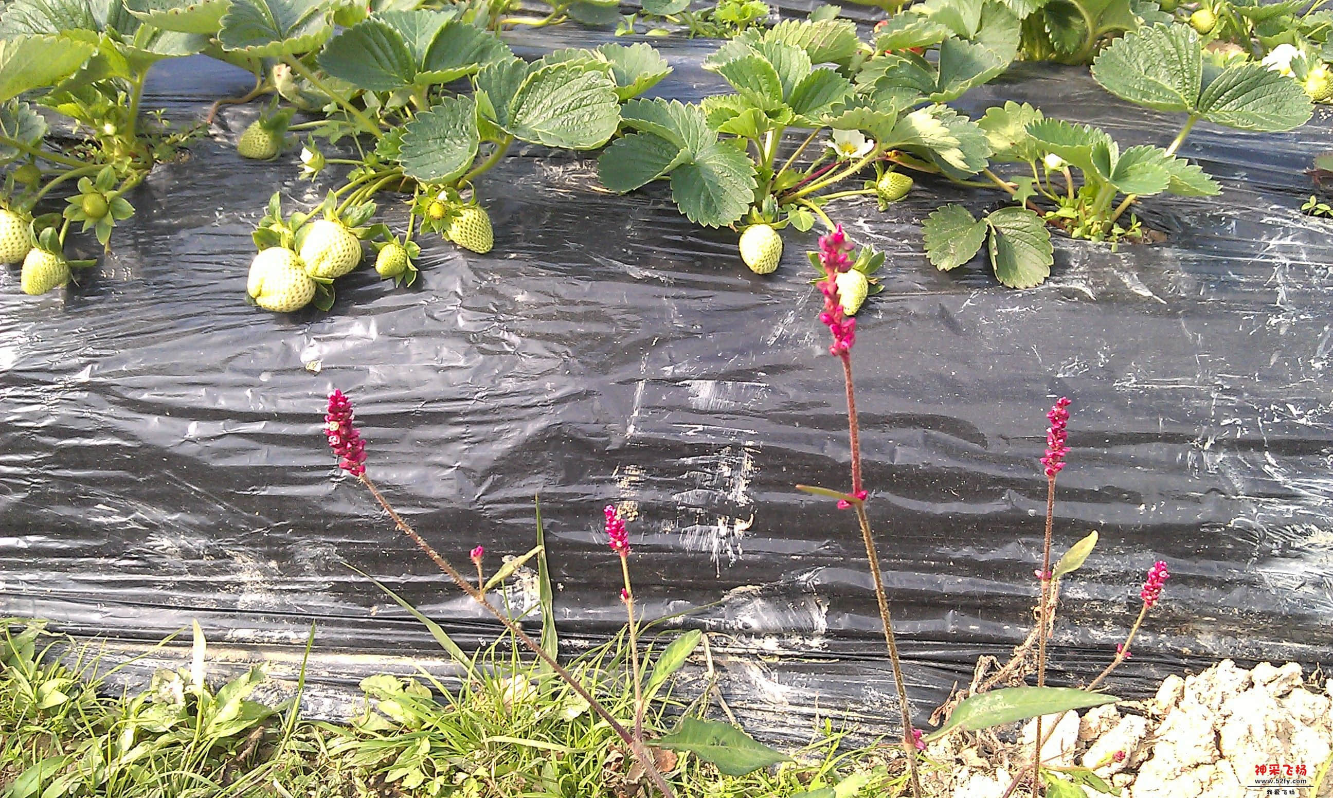 IMAG0045.jpg