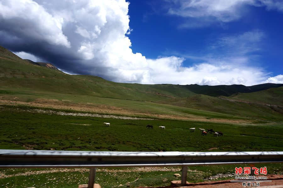 DSC02377_副本.jpg