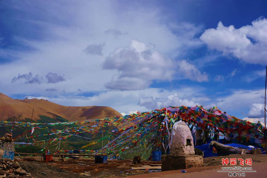 DSC02392_副本.jpg