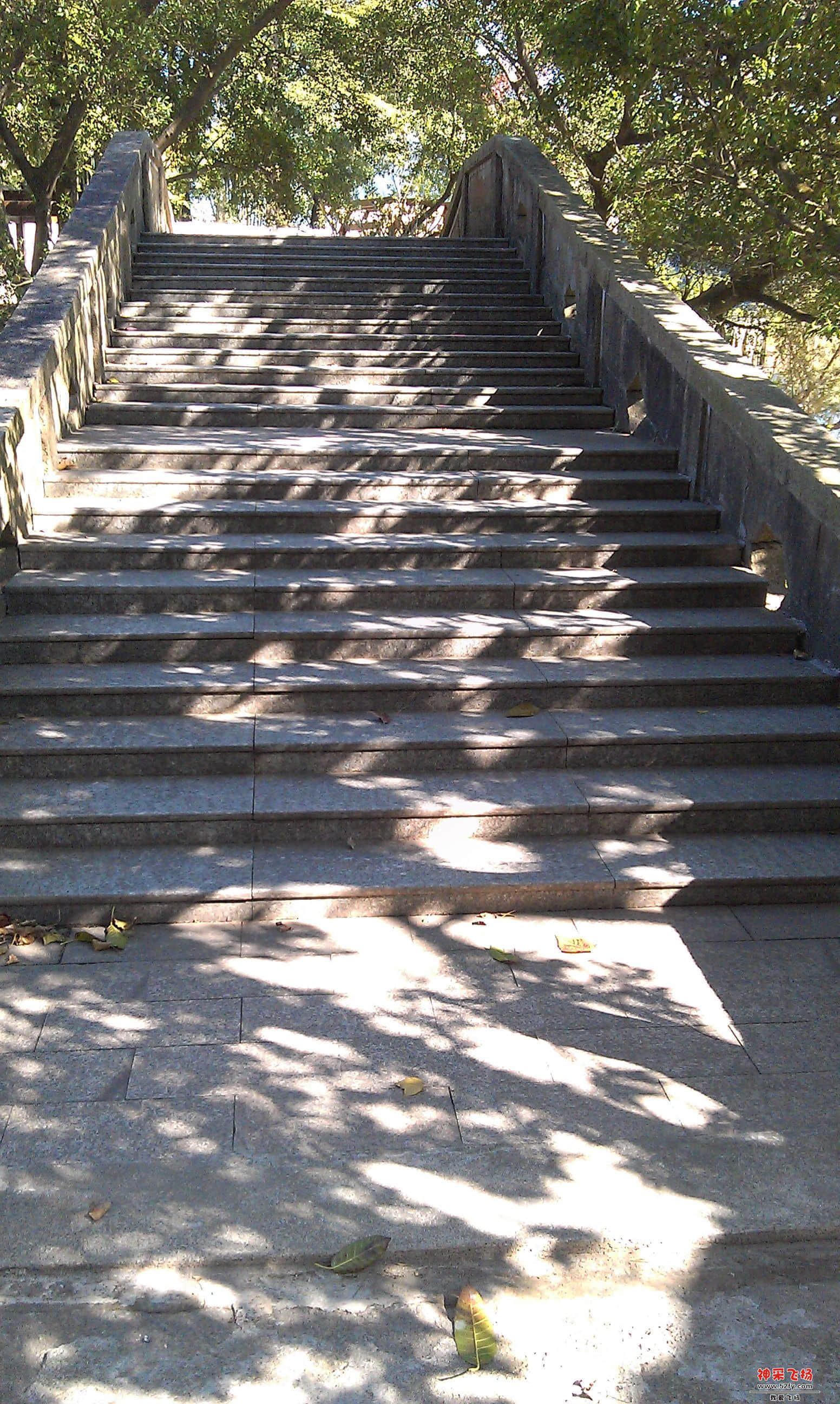 IMAG0007.jpg