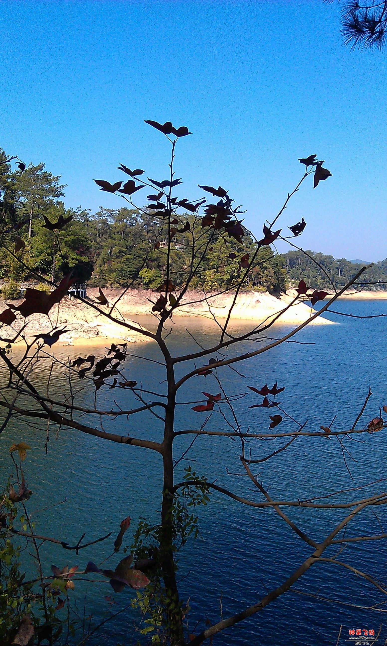 IMAG0012.jpg