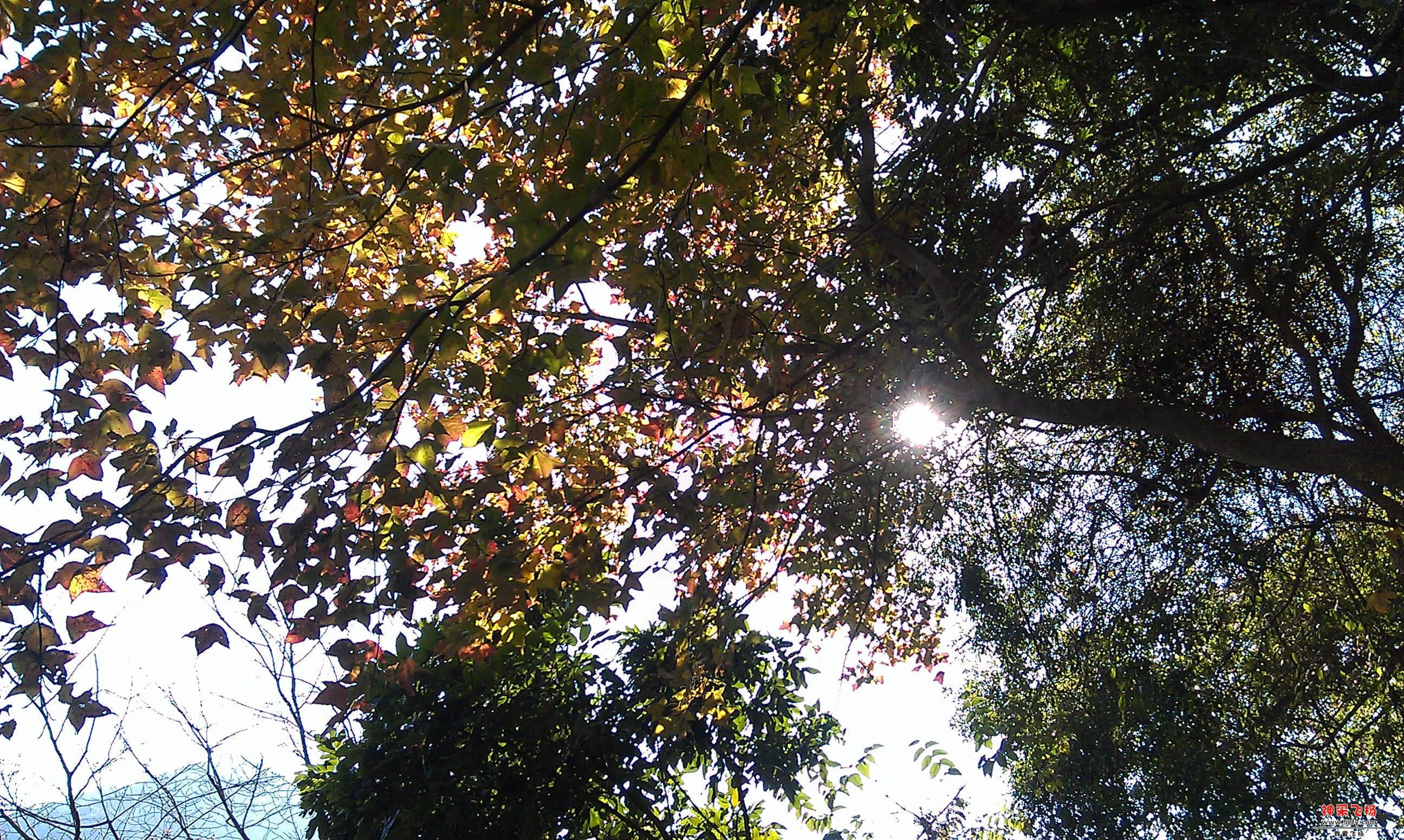IMAG0020.jpg