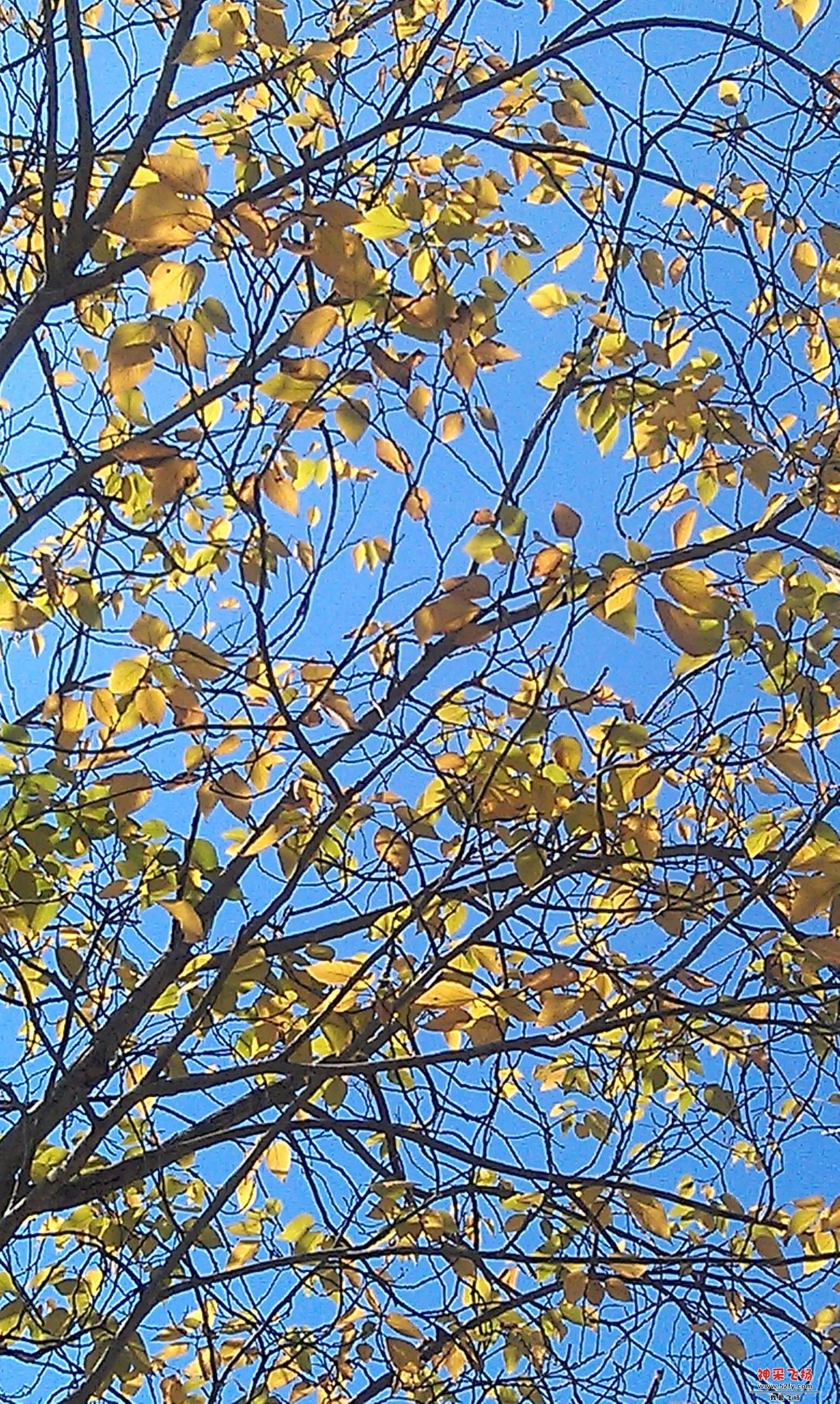 IMAG0034.jpg