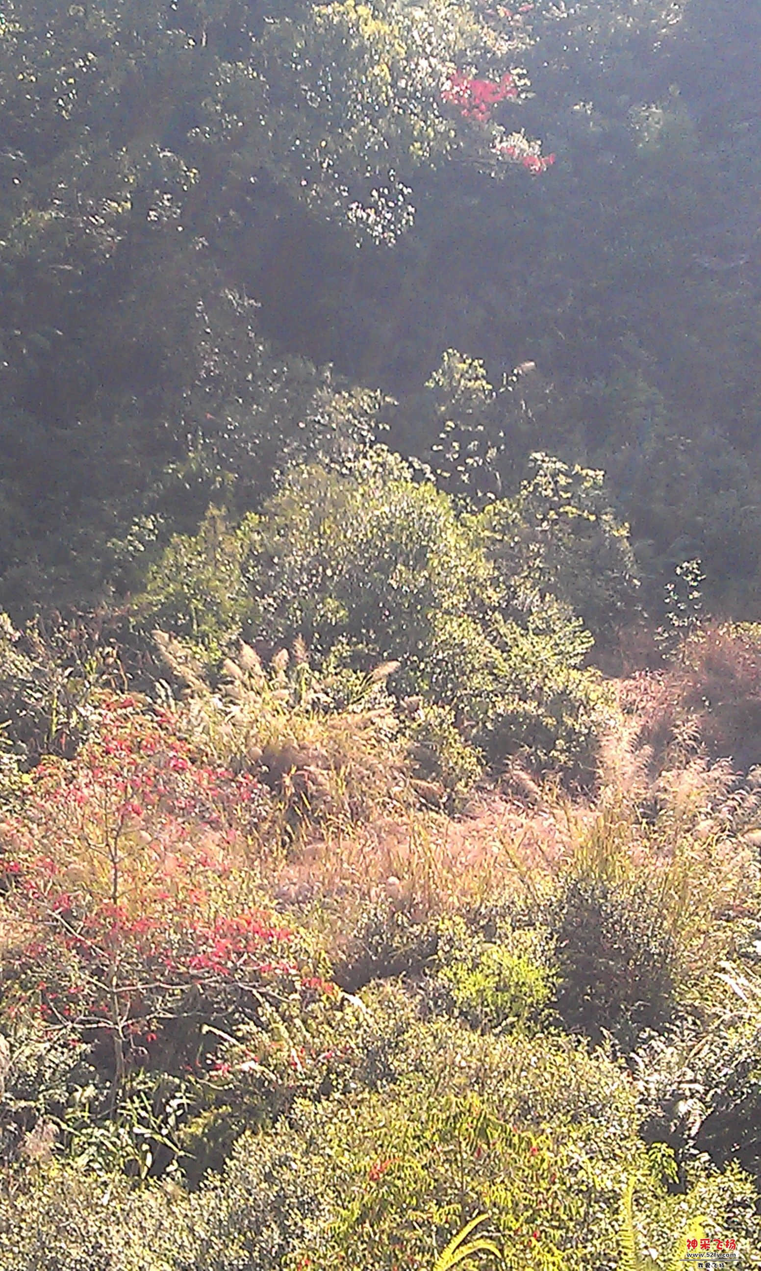 IMAG0038.jpg