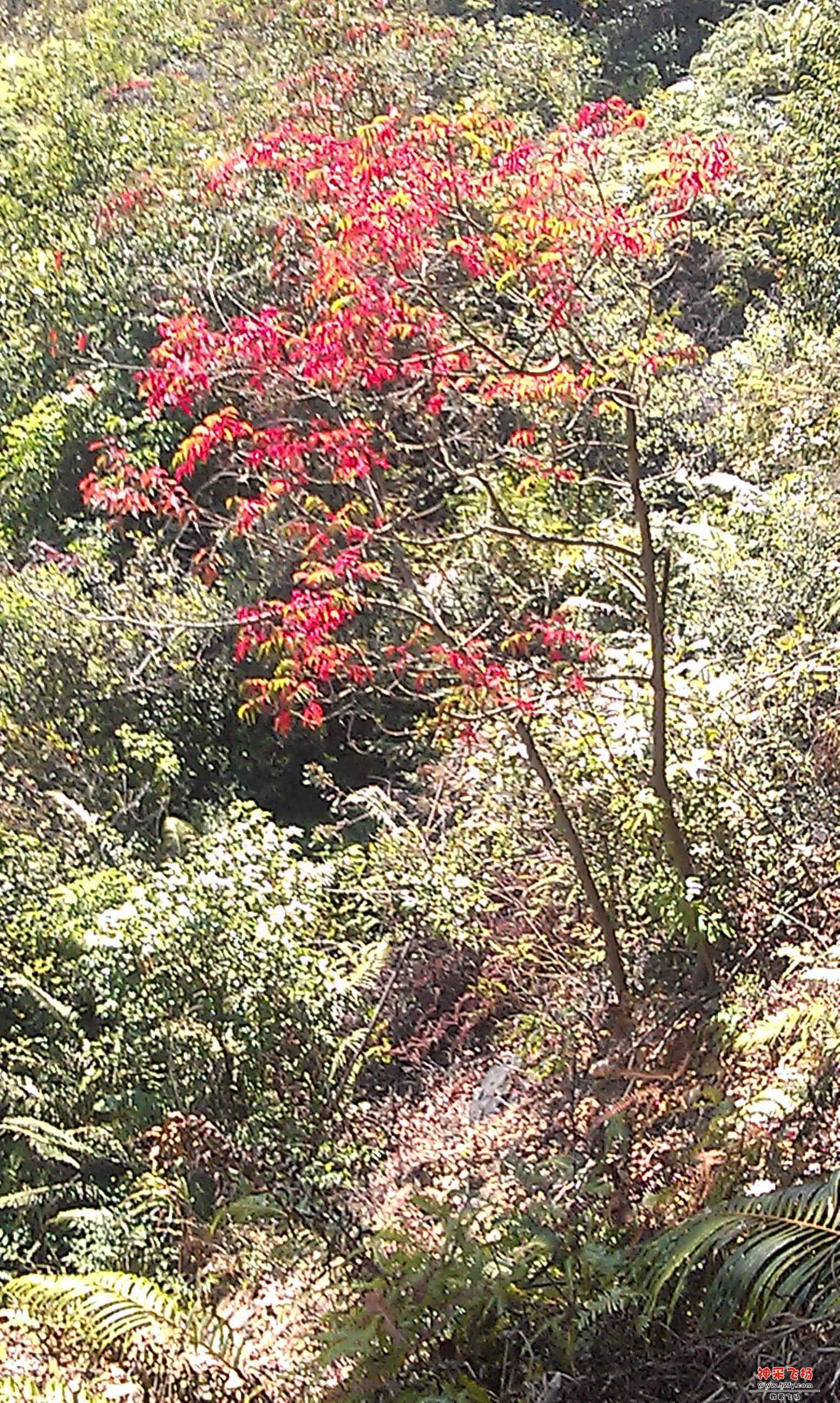 IMAG0039.jpg