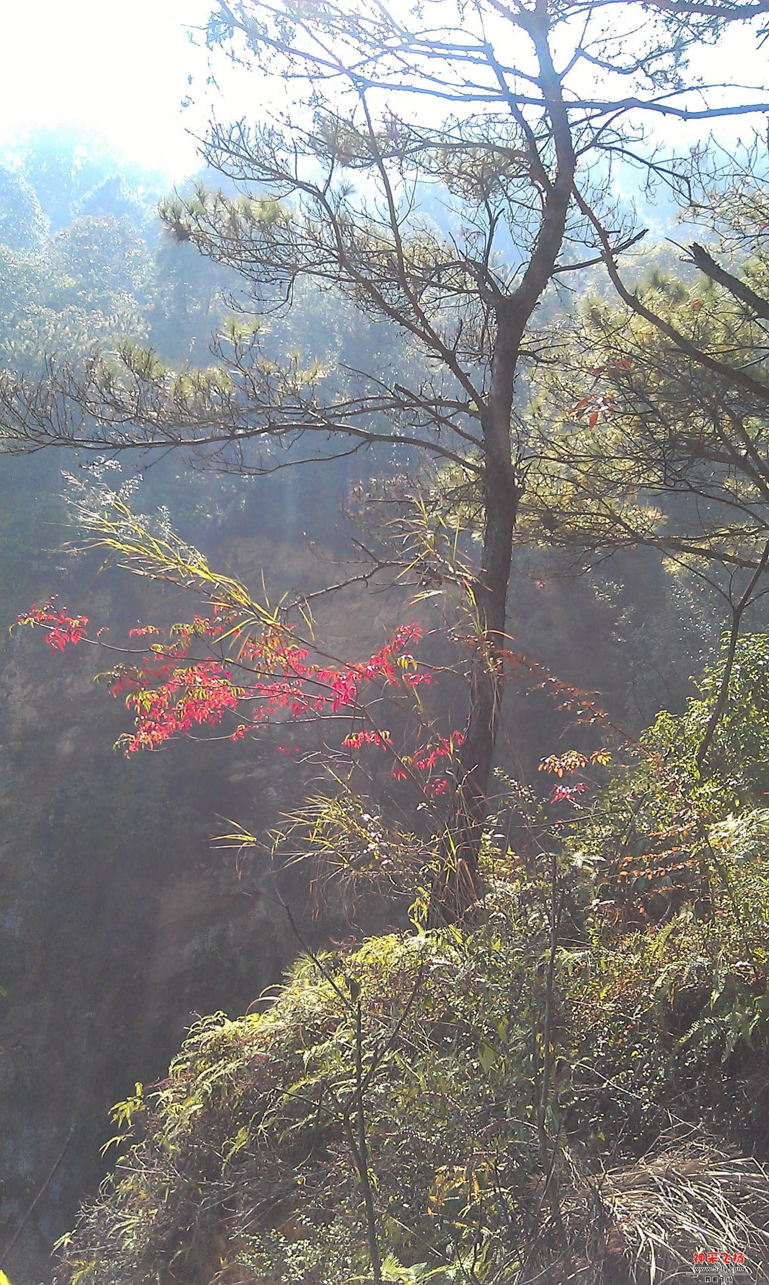 IMAG0041.jpg